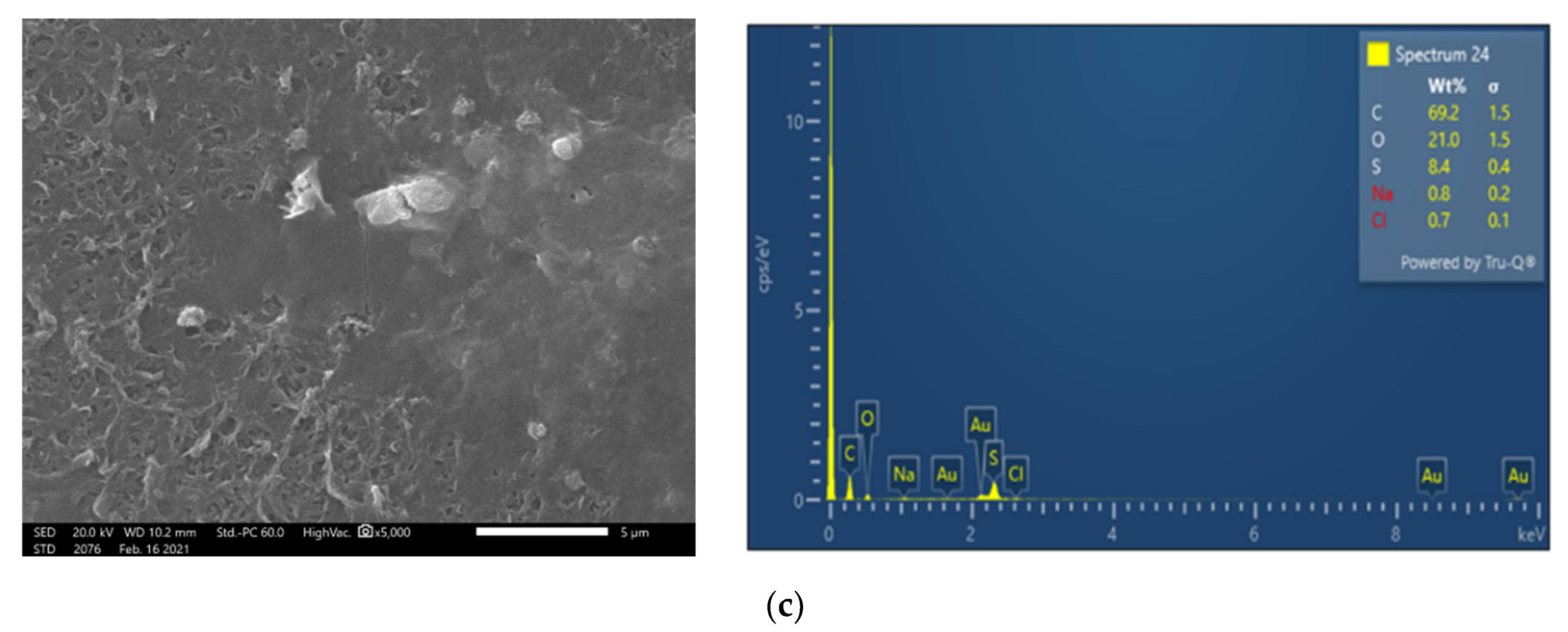 Membranes 13 00297 g005b Membranes 13 00297 g005b