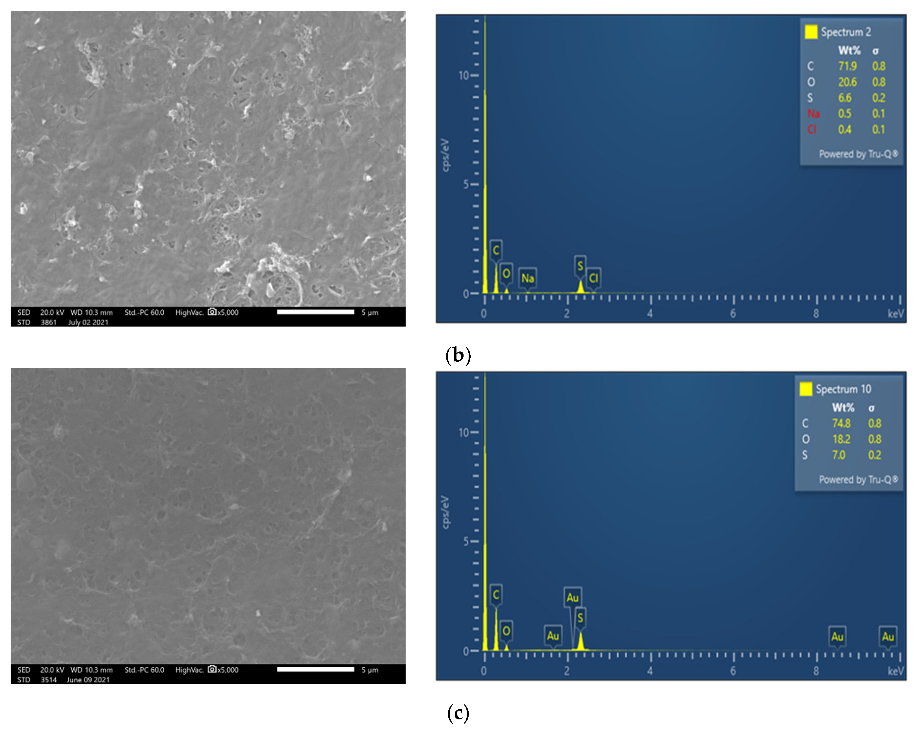 Membranes 13 00297 g007b Membranes 13 00297 g007b