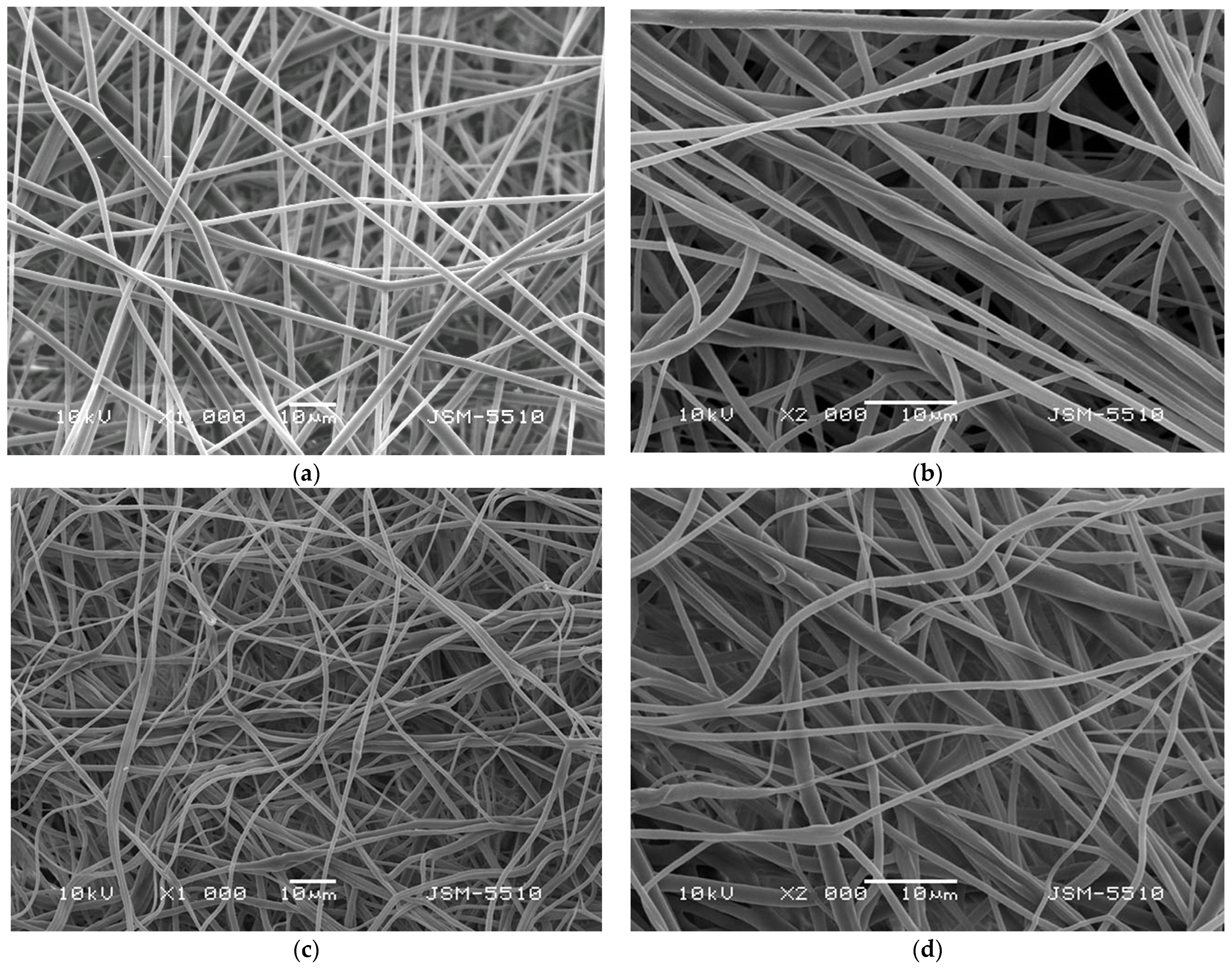 Membranes 13 00298 g002 Membranes 13 00298 g002