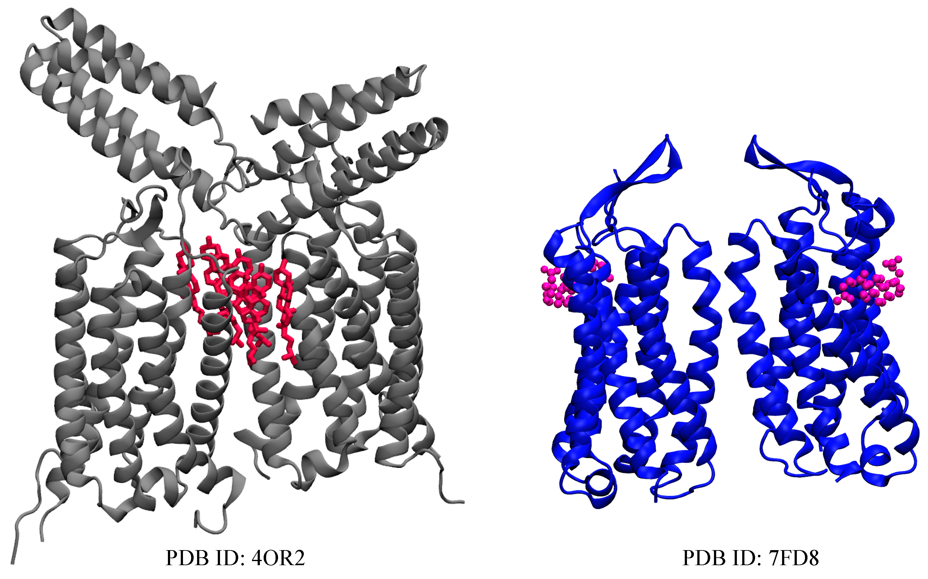 Cholesterol in Class C GPCRs: Role, Relevance, and Localization Cholesterol in Class C GPCRs: Role, Relevance, and Localization