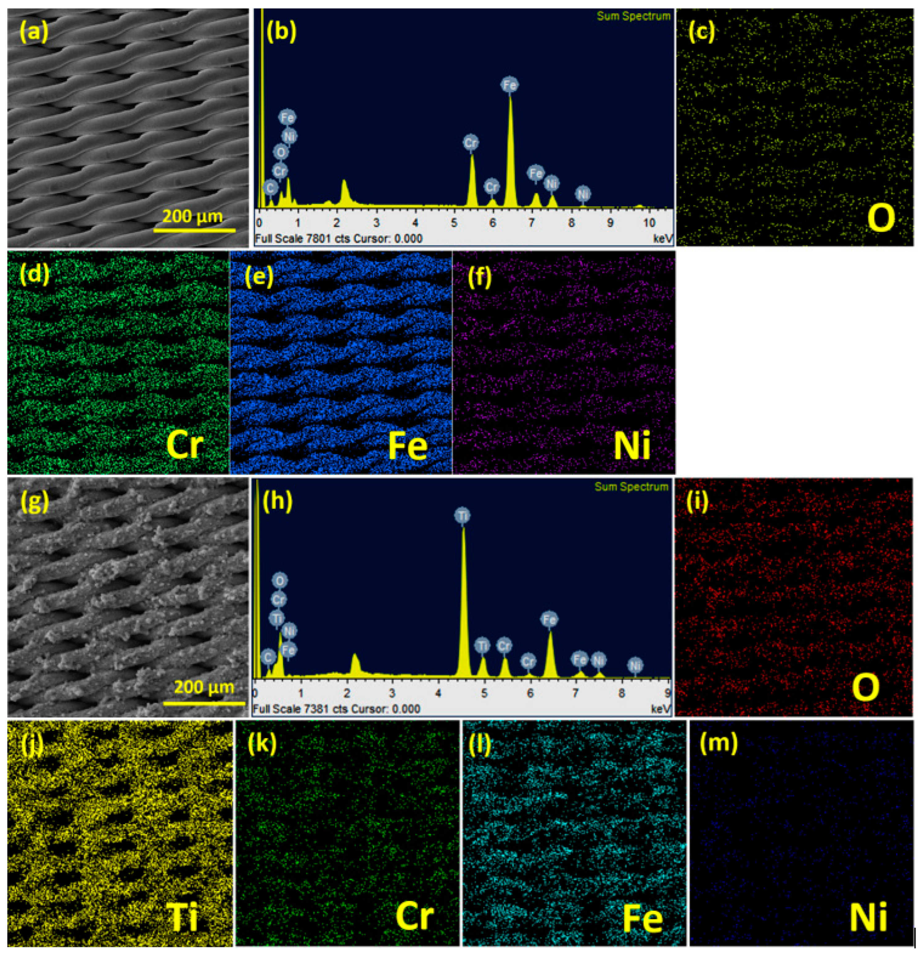 Membranes 13 00302 g004 Membranes 13 00302 g004