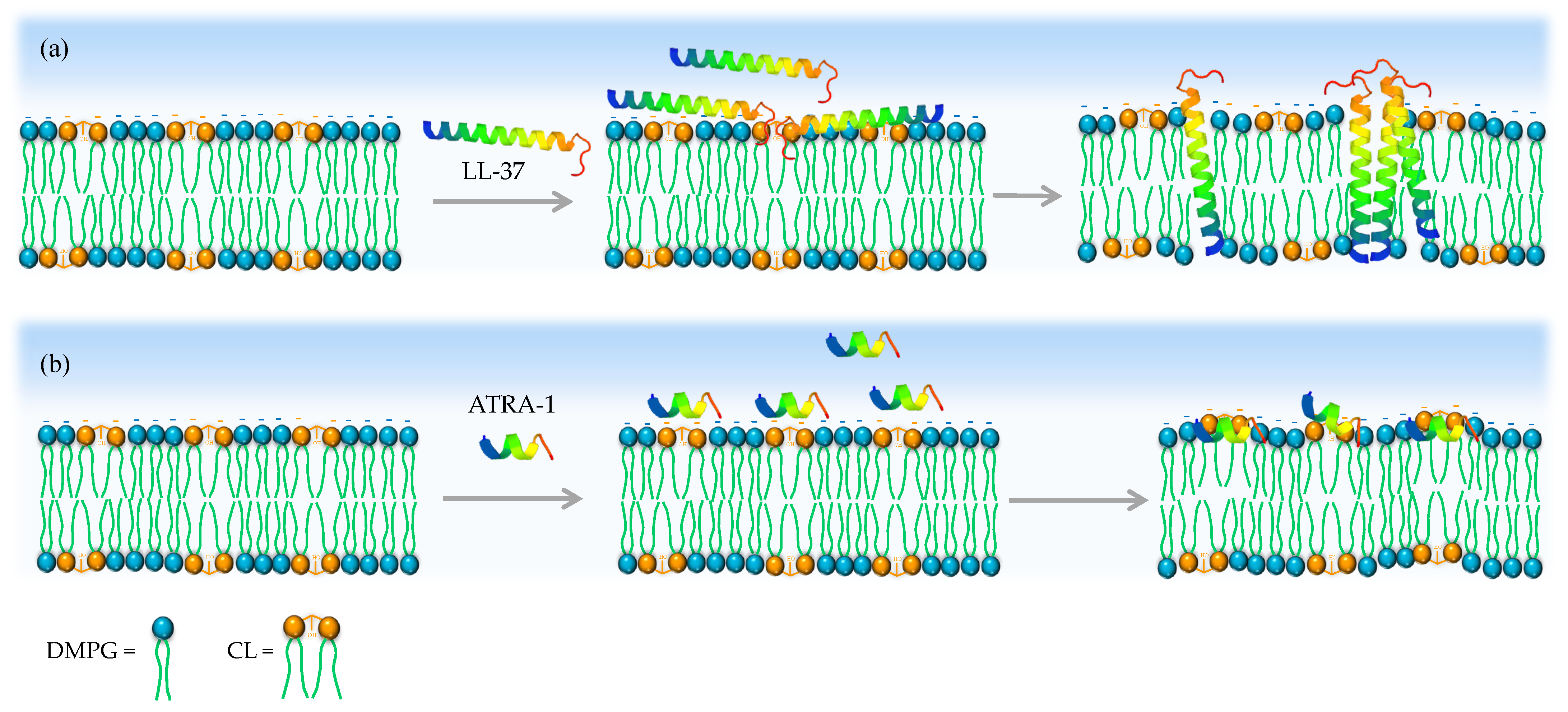 Membranes 13 00304 g007 Membranes 13 00304 g007