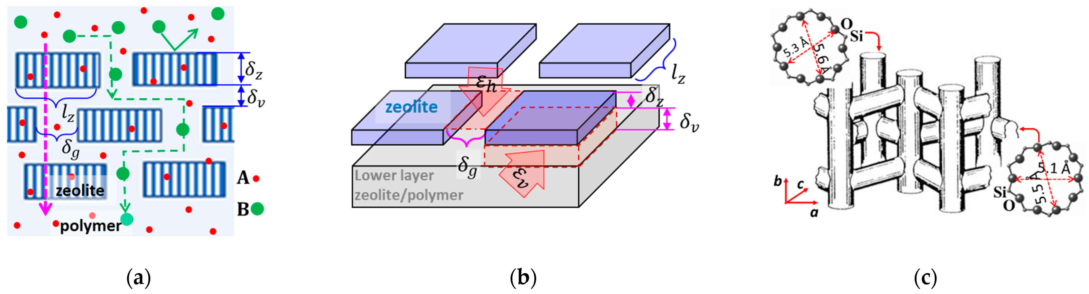 Membranes 13 00305 g001