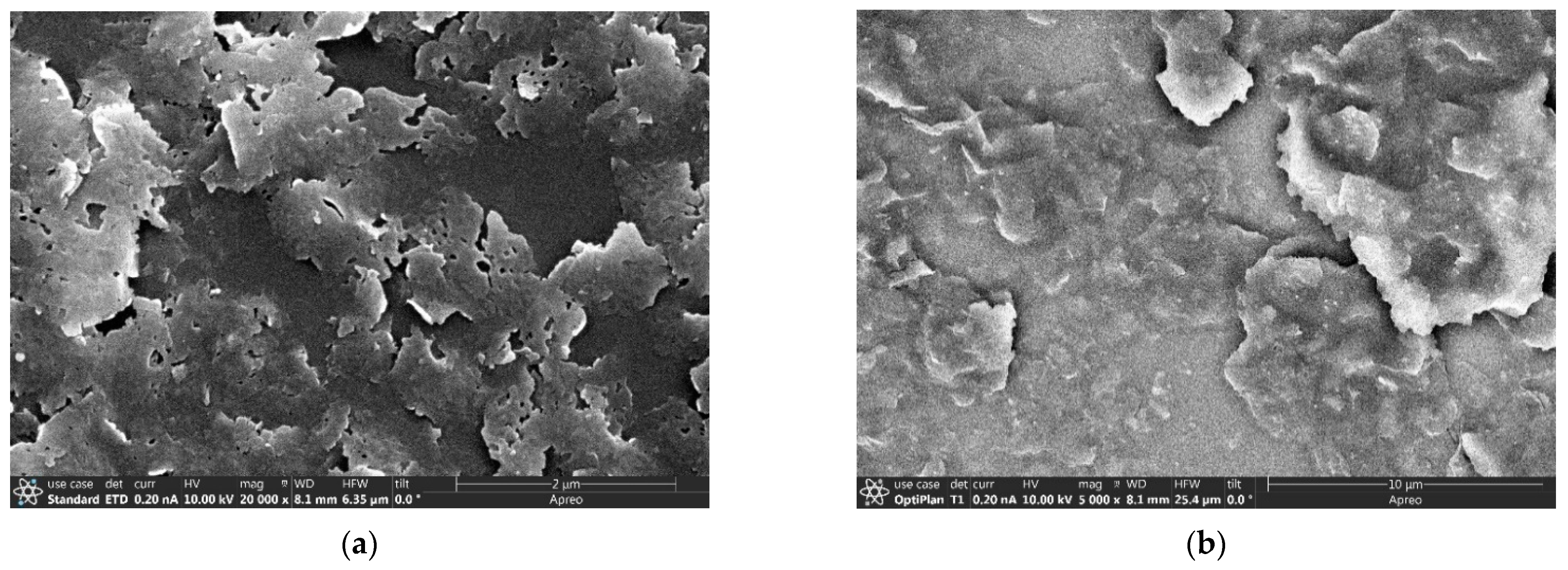 Membranes 13 00305 g004