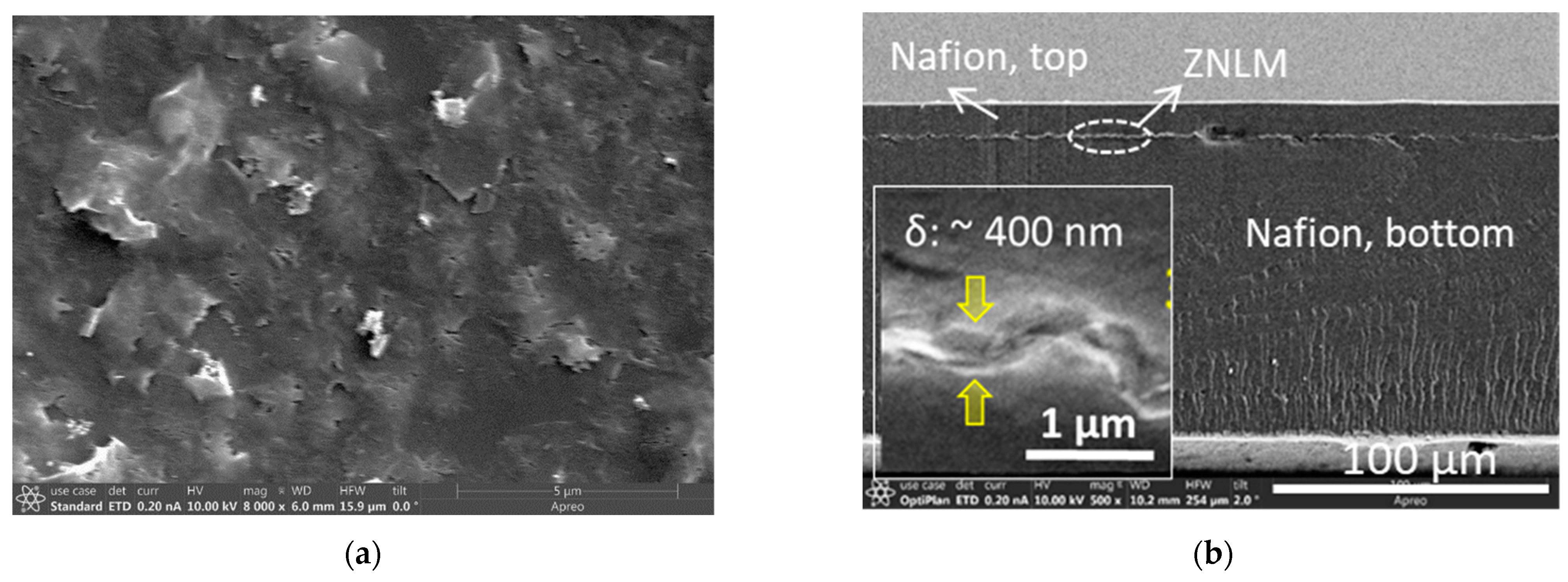 Membranes 13 00305 g005a