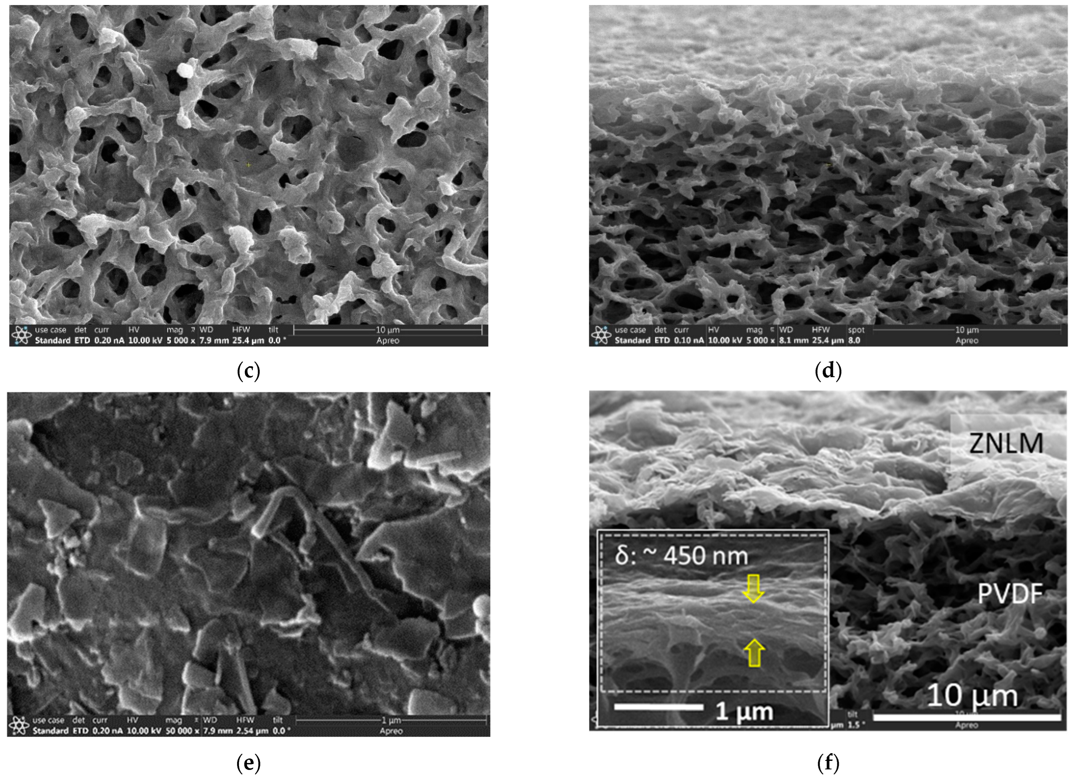 Membranes 13 00305 g005b