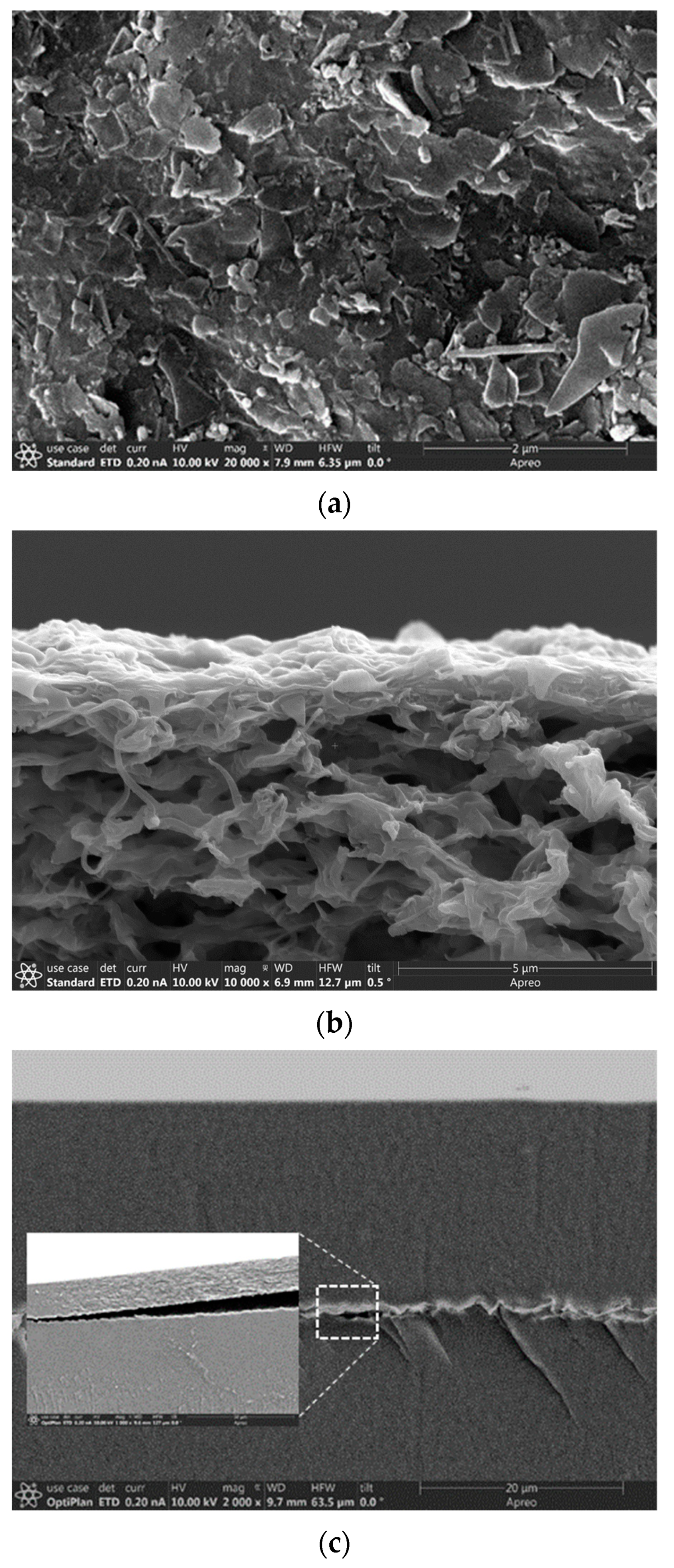 Membranes 13 00305 g008
