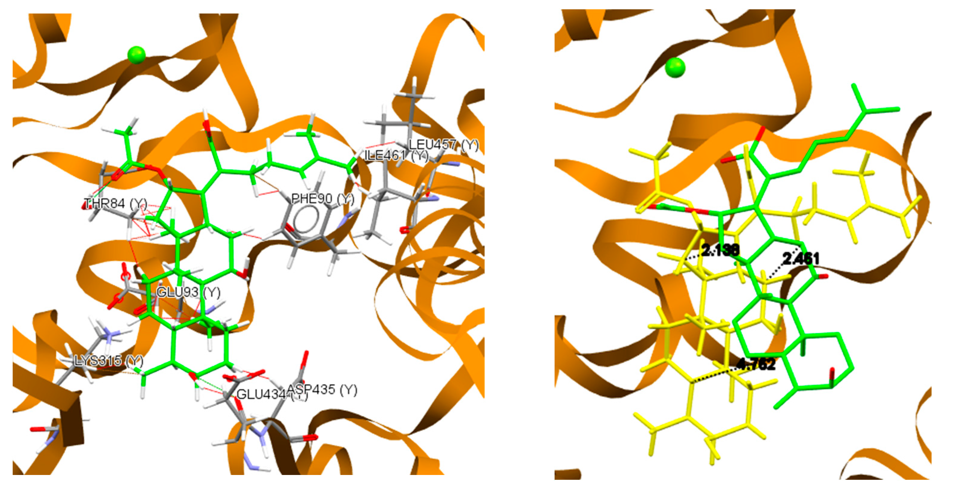 Membranes 13 00309 g005 Membranes 13 00309 g005