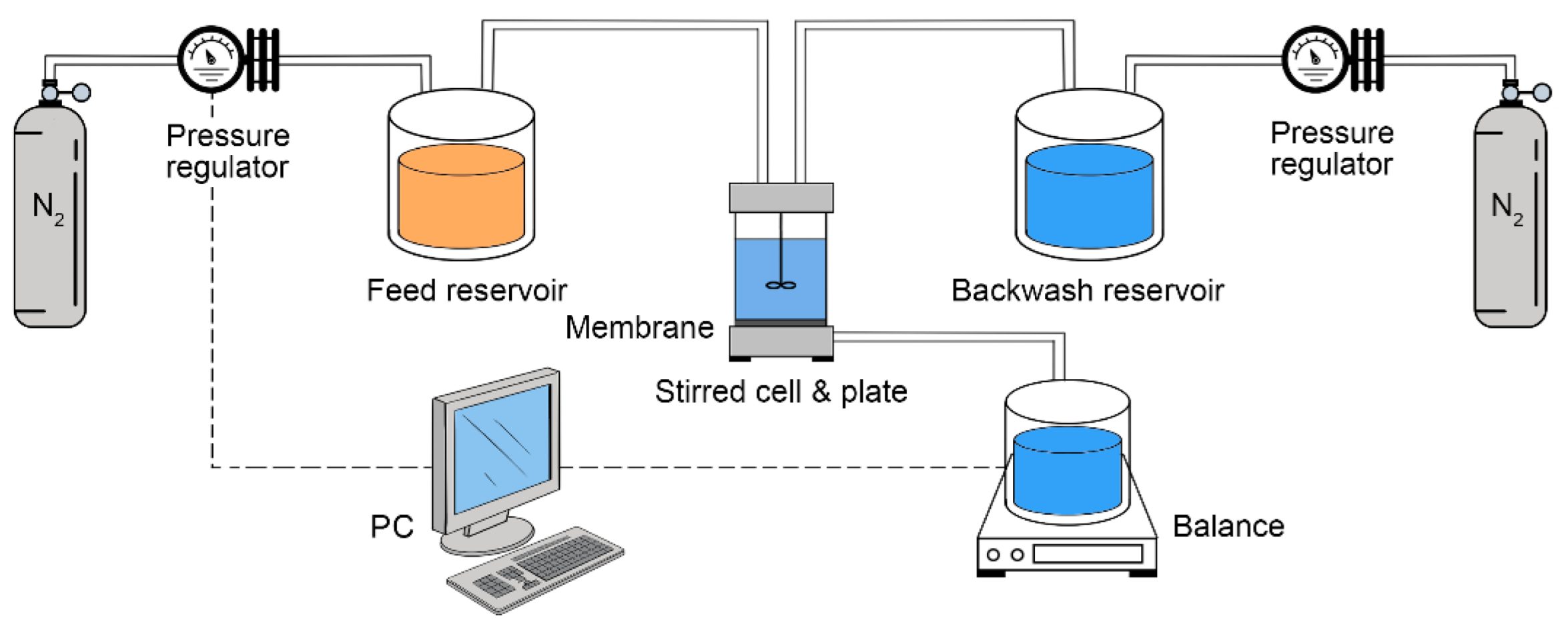 Membranes 13 00310 g003
