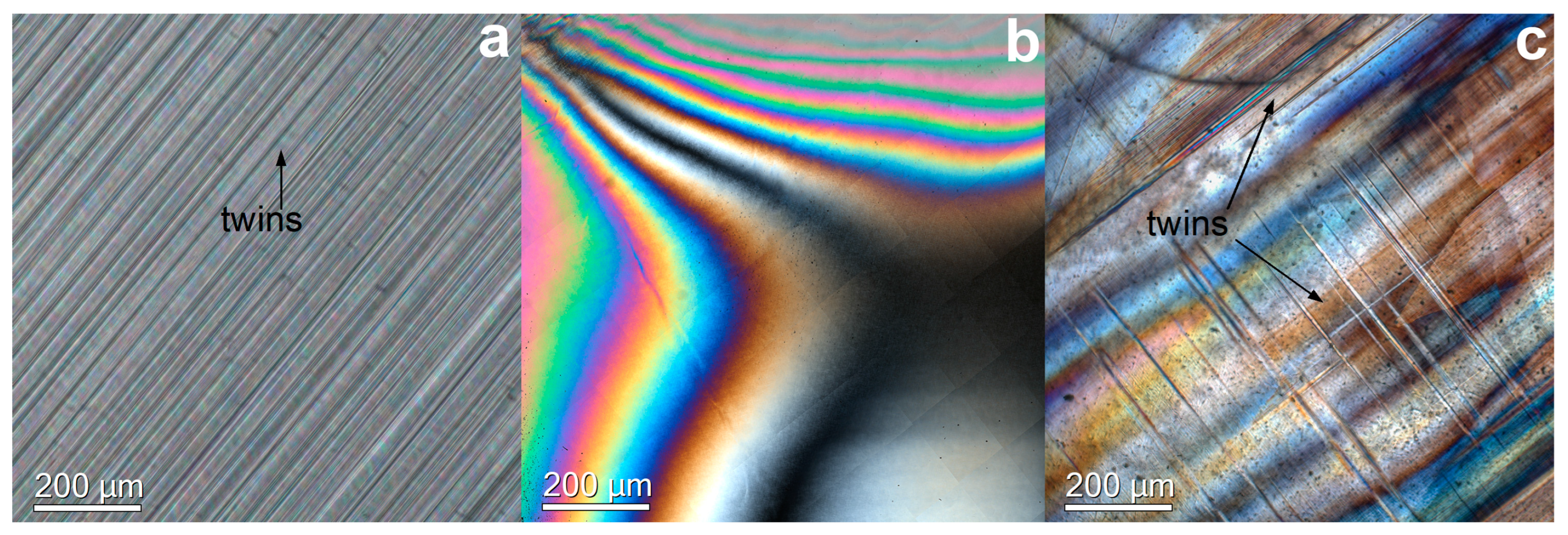 Membranes 13 00312 g001 Membranes 13 00312 g001
