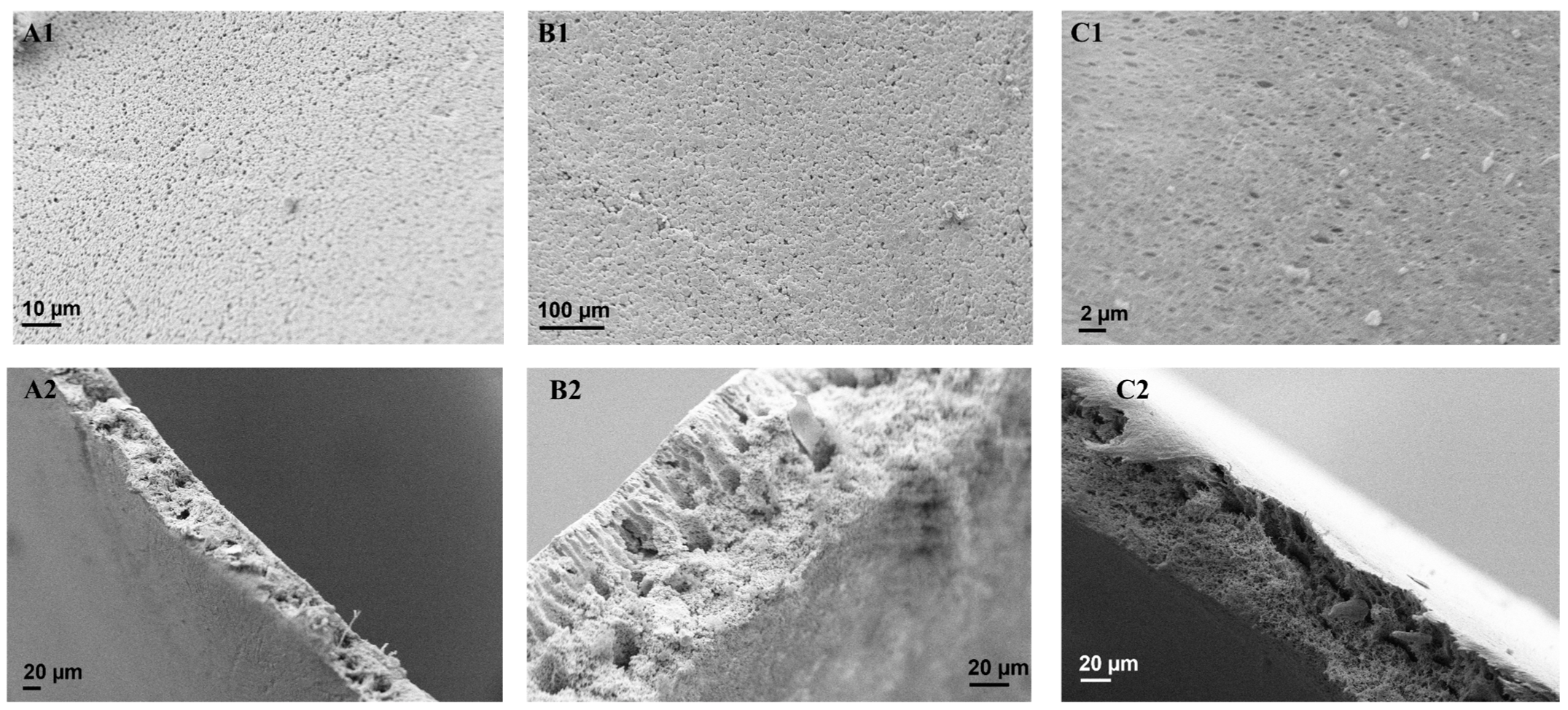 Membranes 13 00317 g002a Membranes 13 00317 g002a