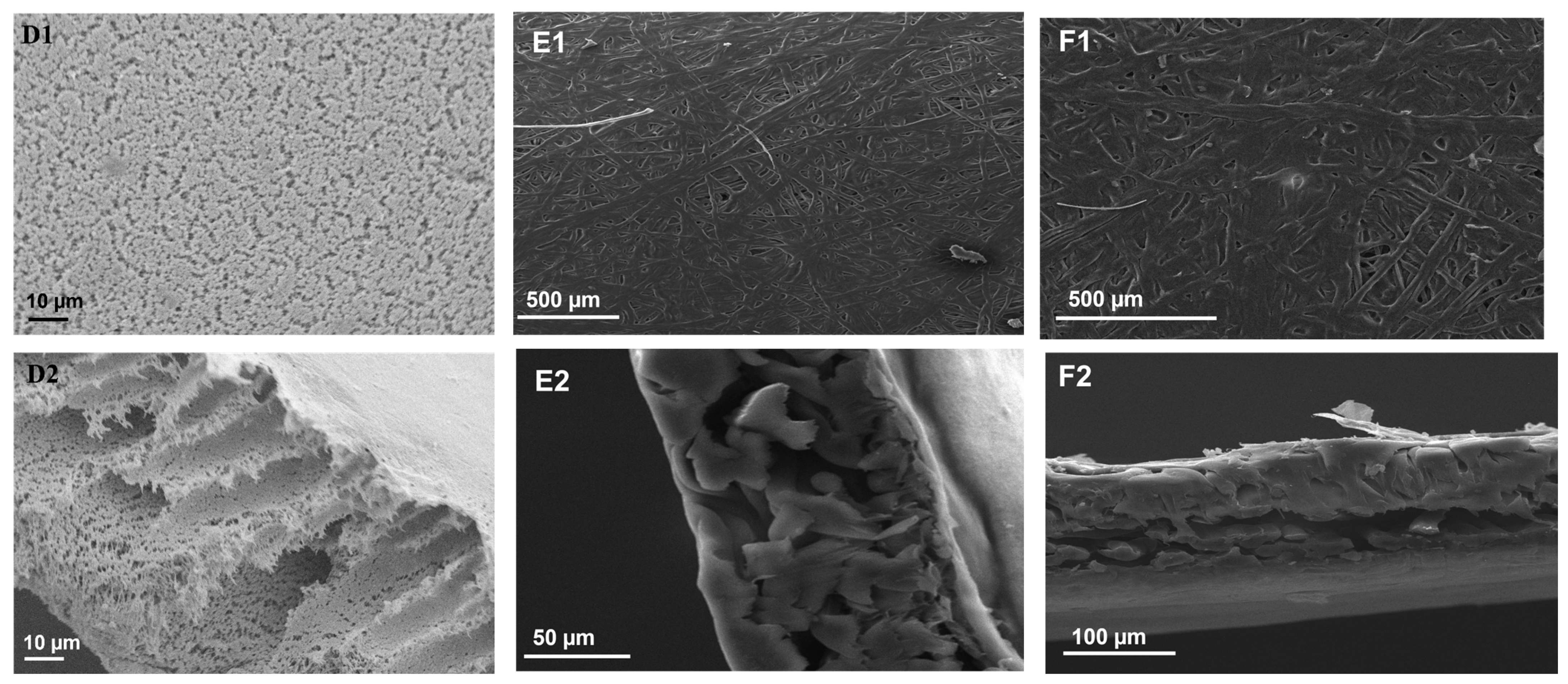 Membranes 13 00317 g002b Membranes 13 00317 g002b