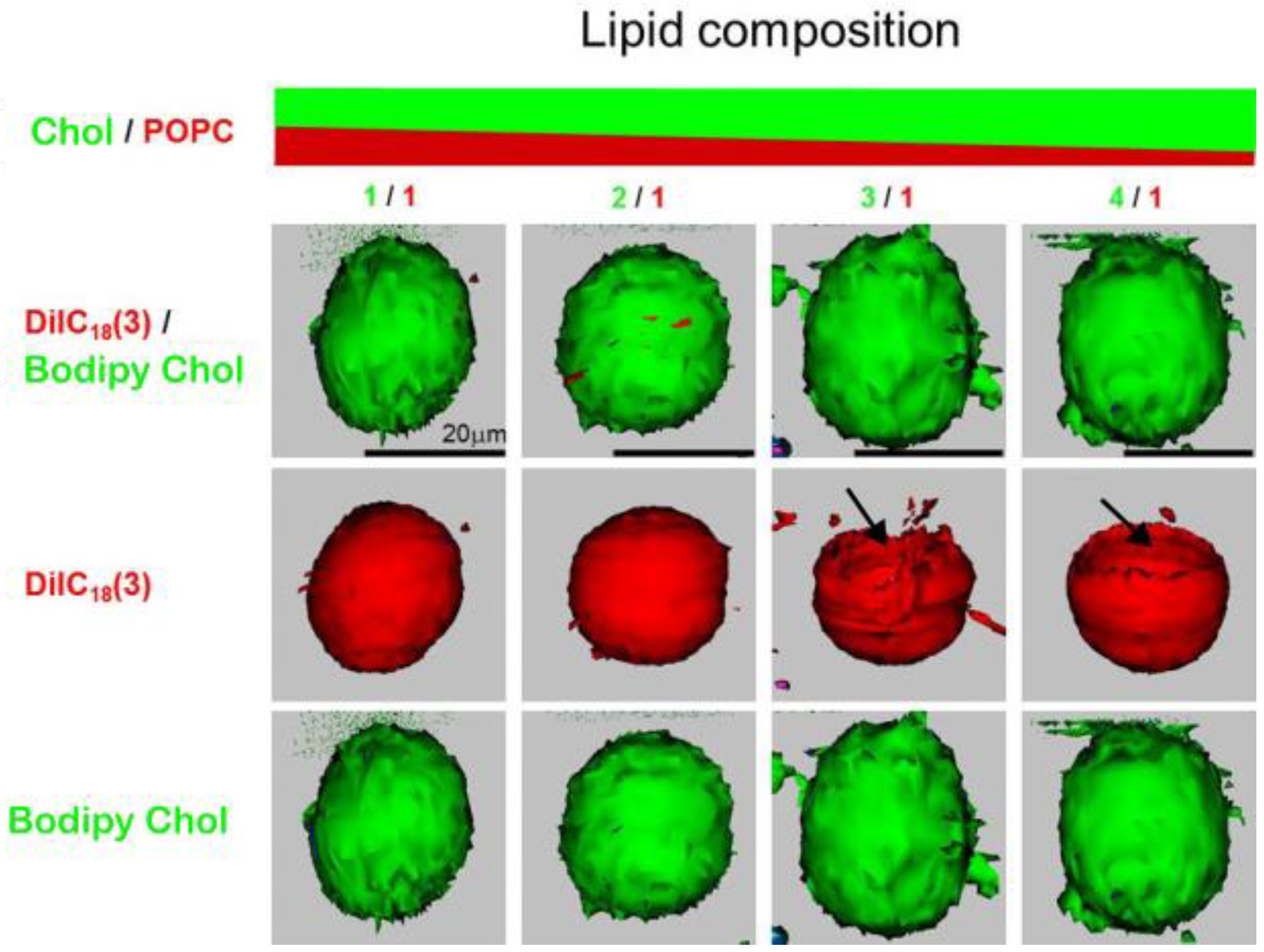 Membranes 13 00320 g006 Membranes 13 00320 g006