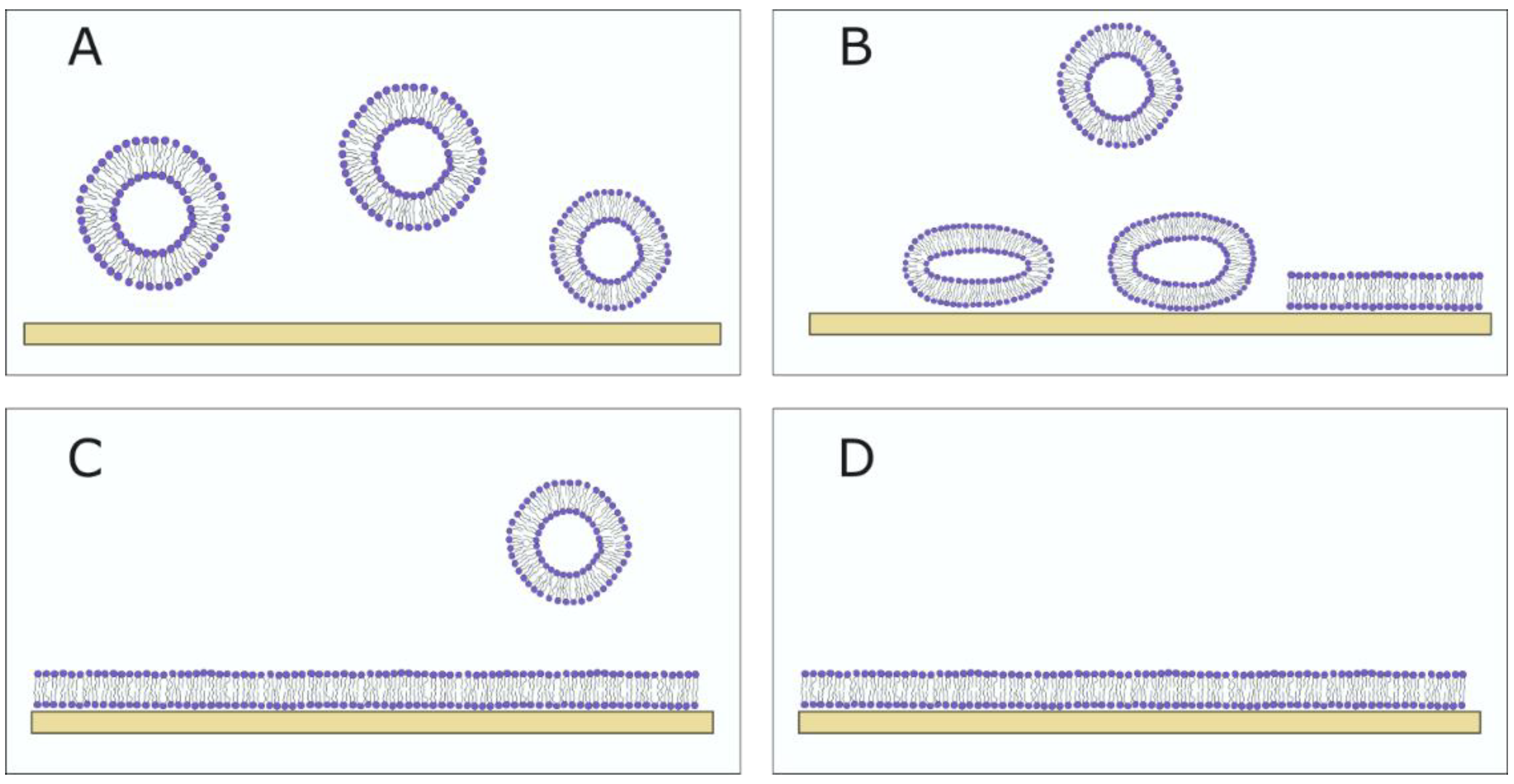 Membranes 13 00320 g007 Membranes 13 00320 g007
