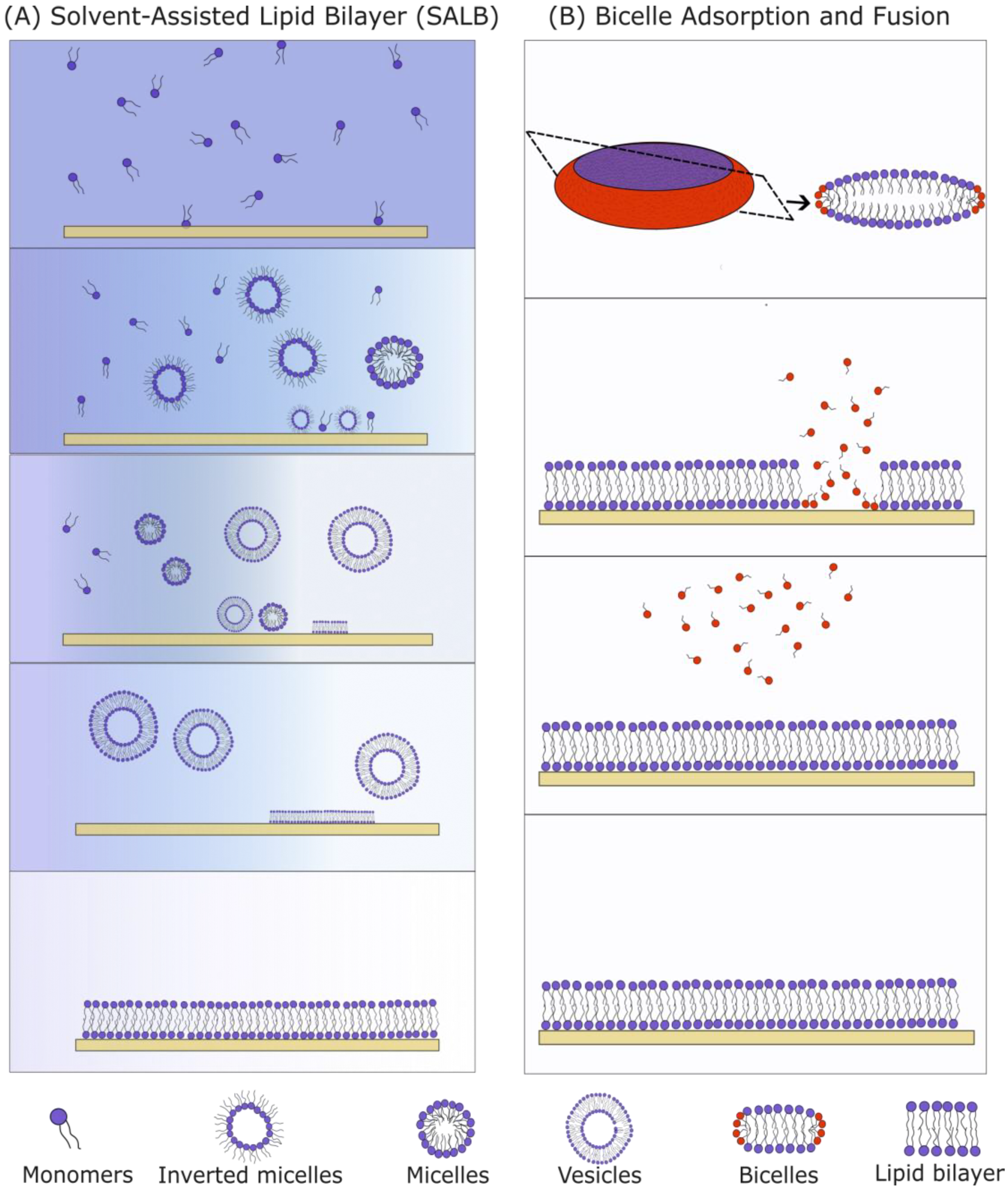 Membranes 13 00320 g008 Membranes 13 00320 g008
