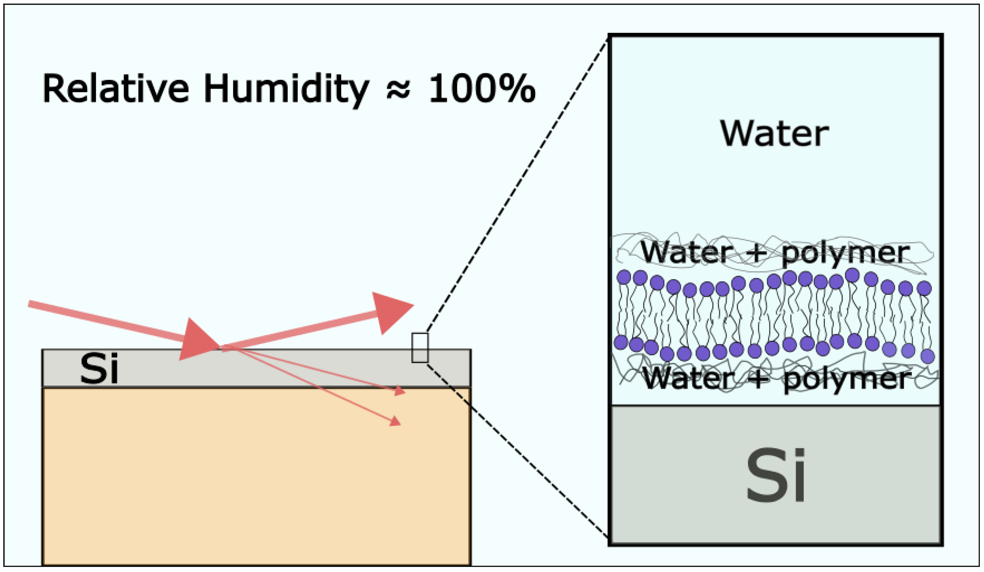 Membranes 13 00320 g009 Membranes 13 00320 g009
