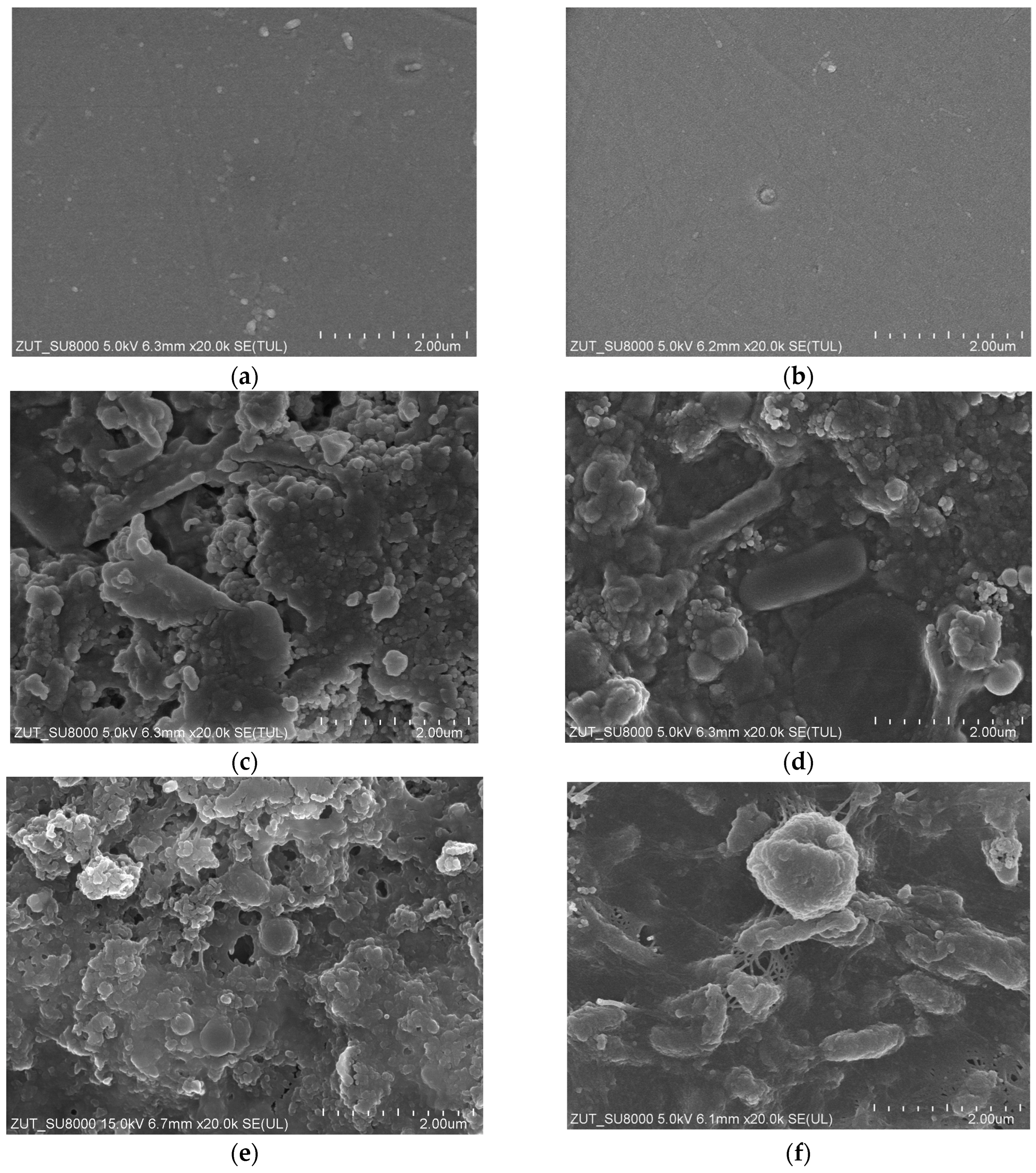 Membranes 13 00321 g016 Membranes 13 00321 g016