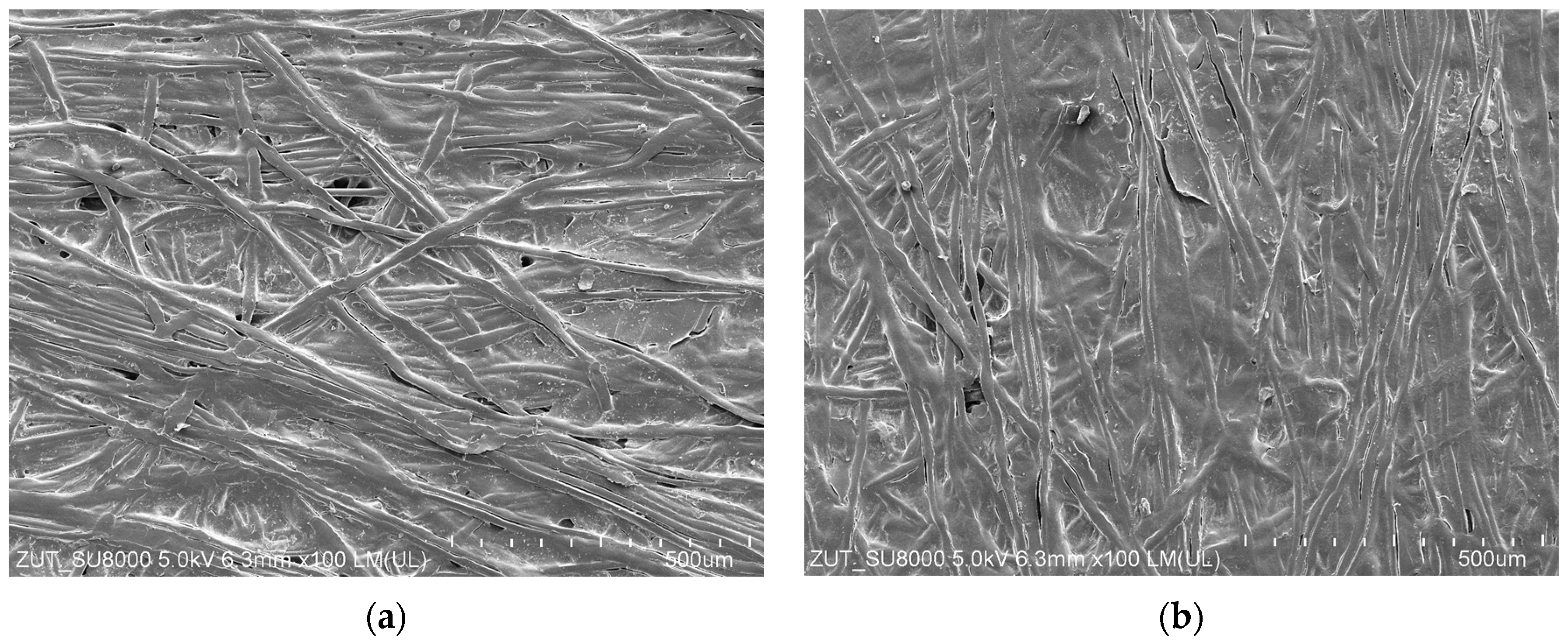 Membranes 13 00321 g017 Membranes 13 00321 g017
