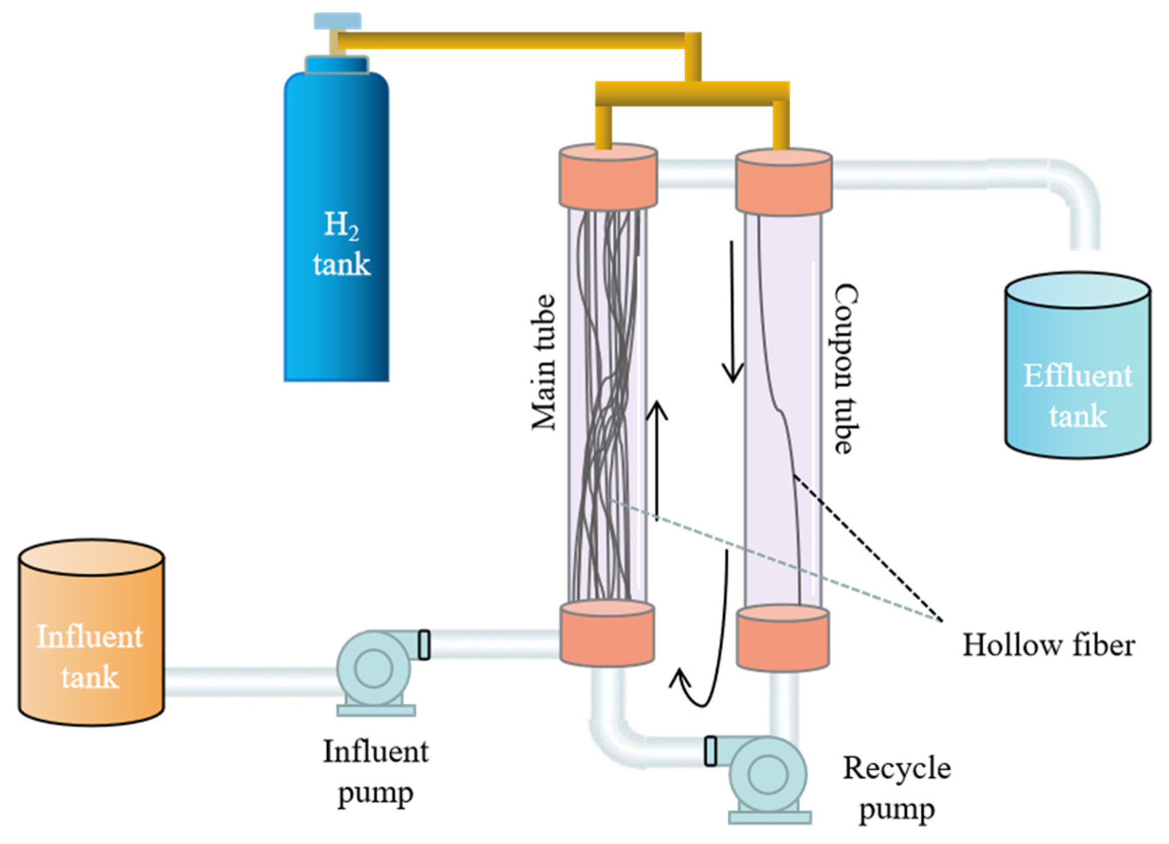 Membranes 13 00324 g001
