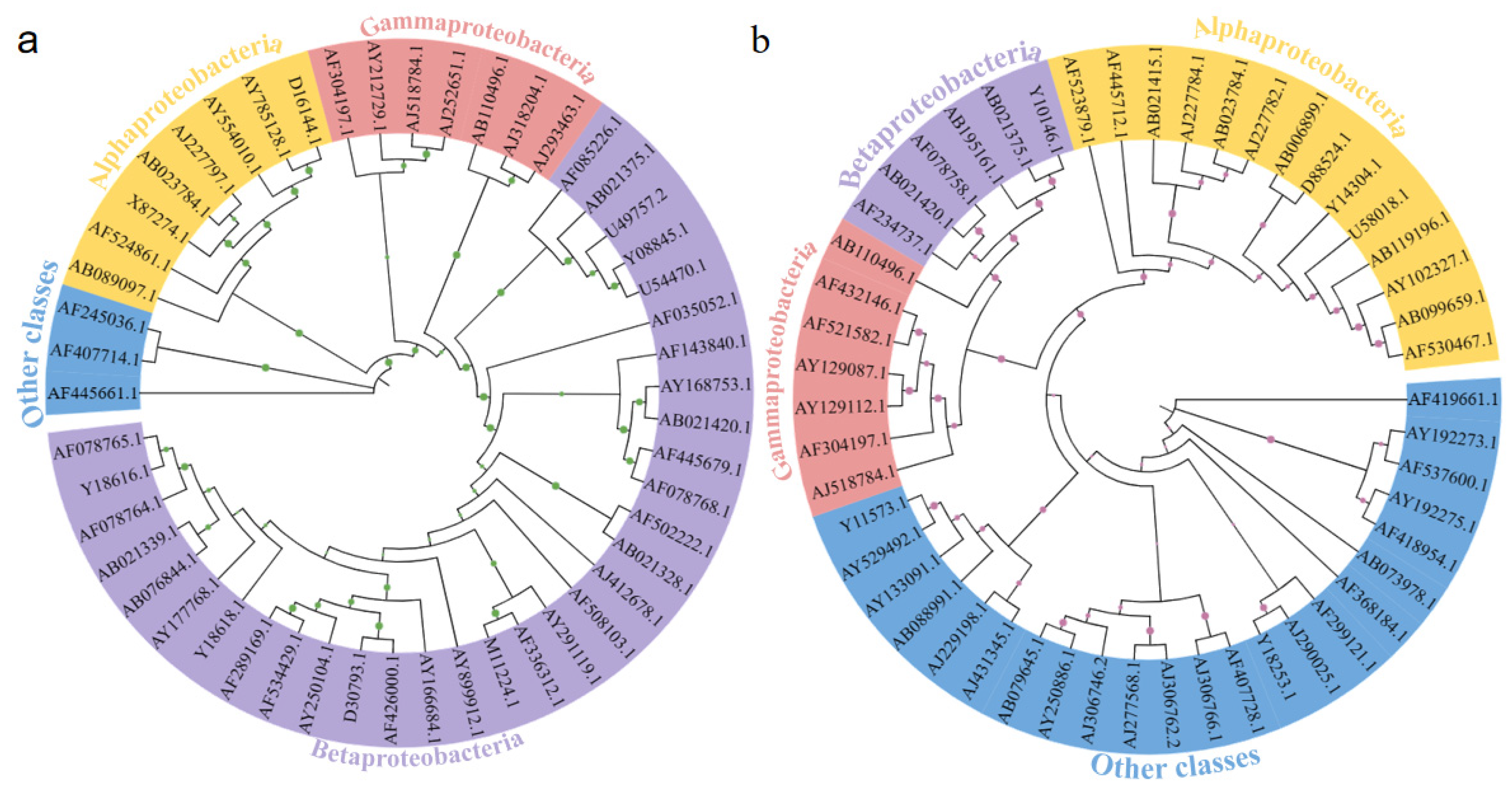 Membranes 13 00324 g005