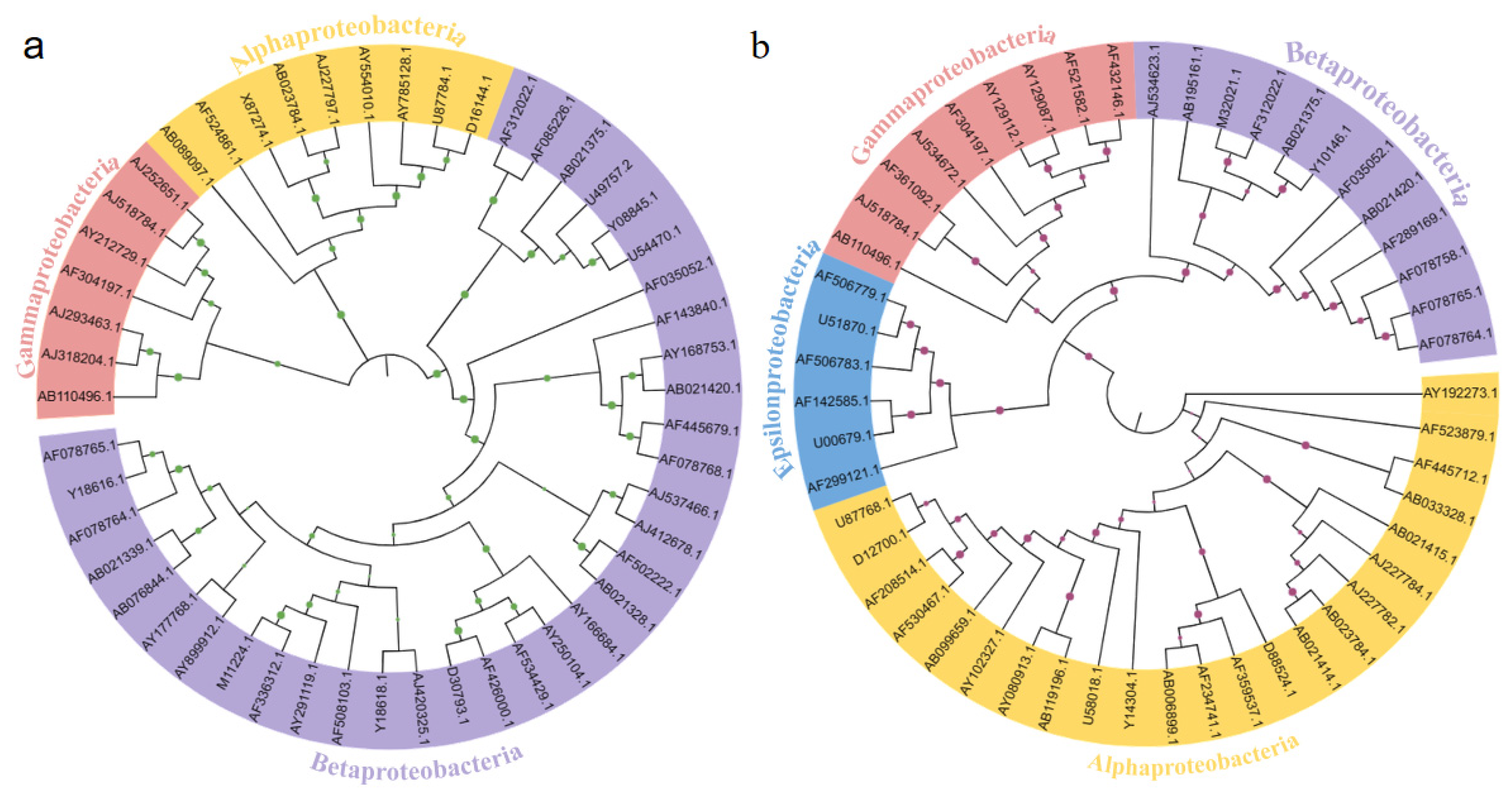 Membranes 13 00324 g006