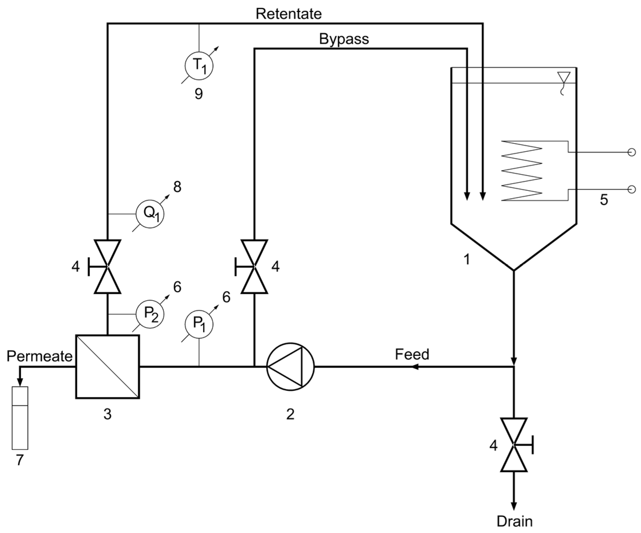 Membranes Free FullText Experimental Study and Modeling of Beer