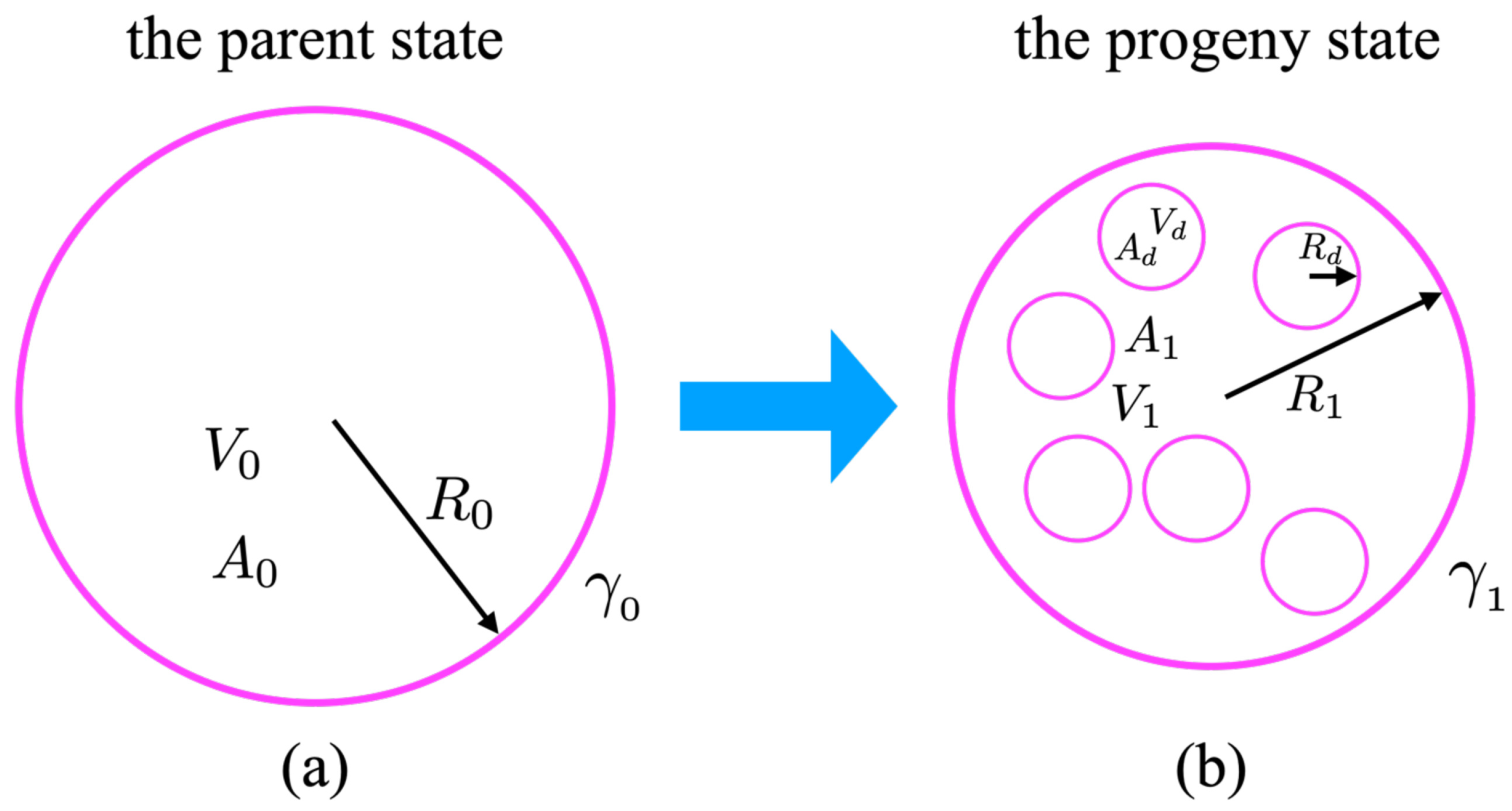 Membranes 13 00332 g001
