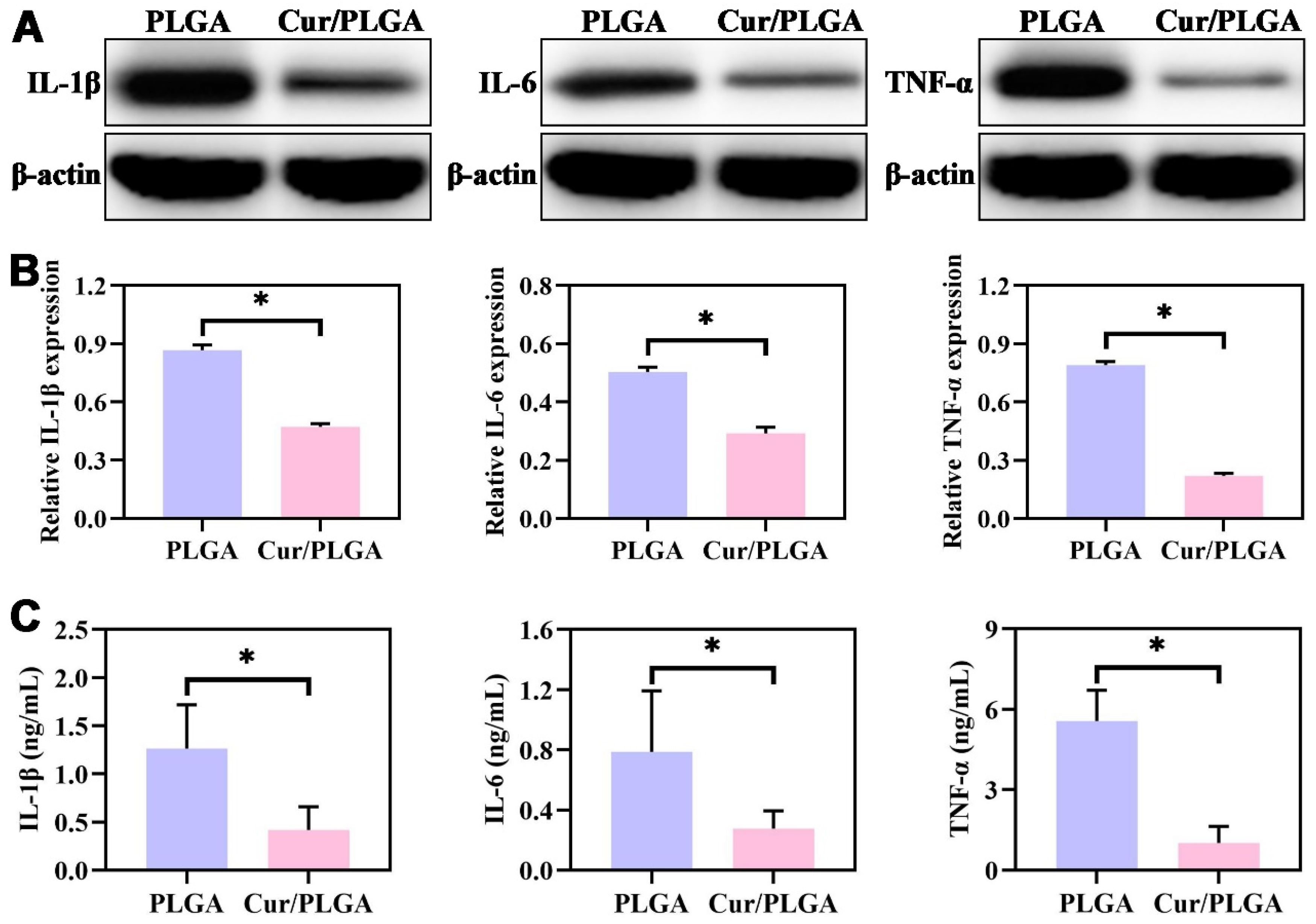Membranes 13 00335 g003