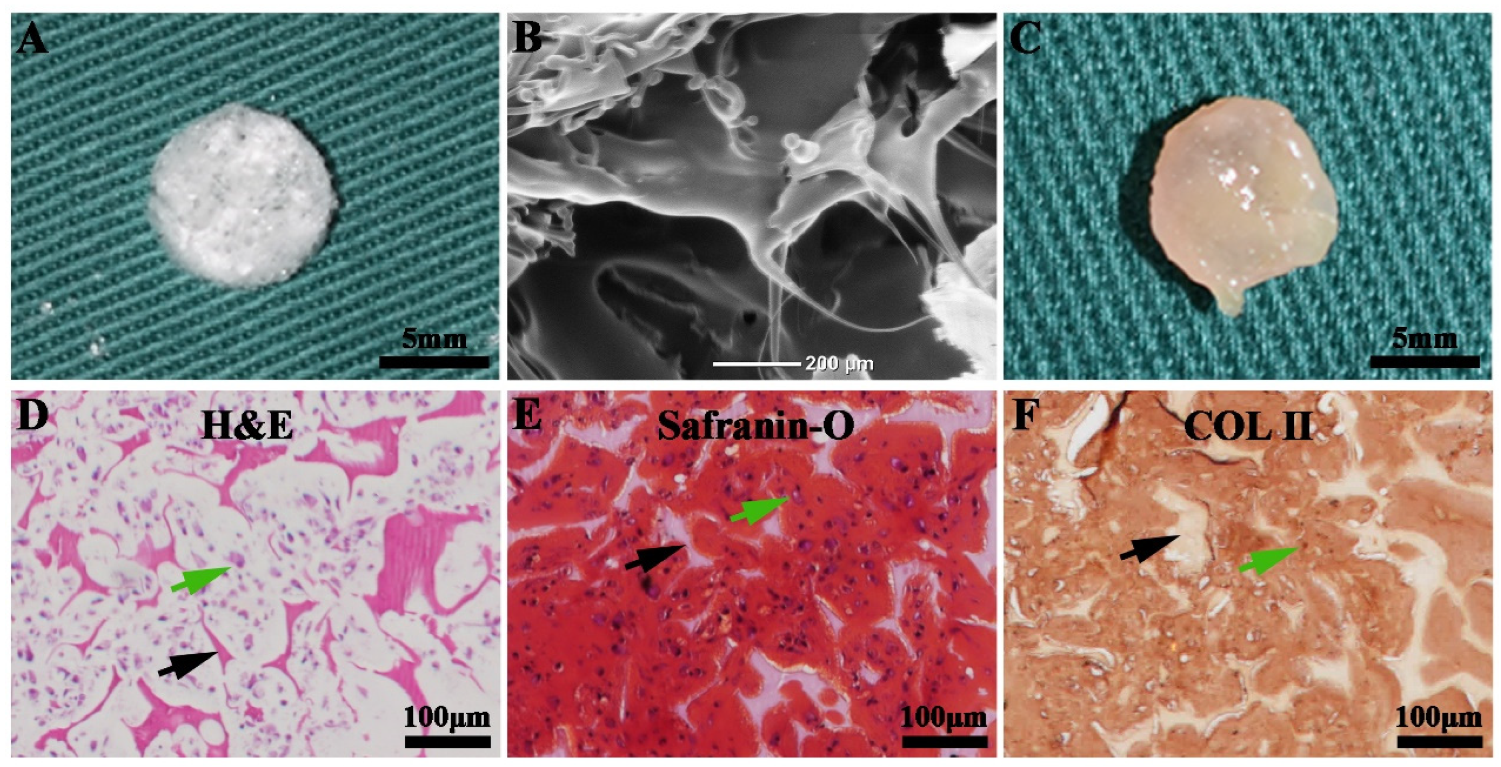 Membranes 13 00335 g004