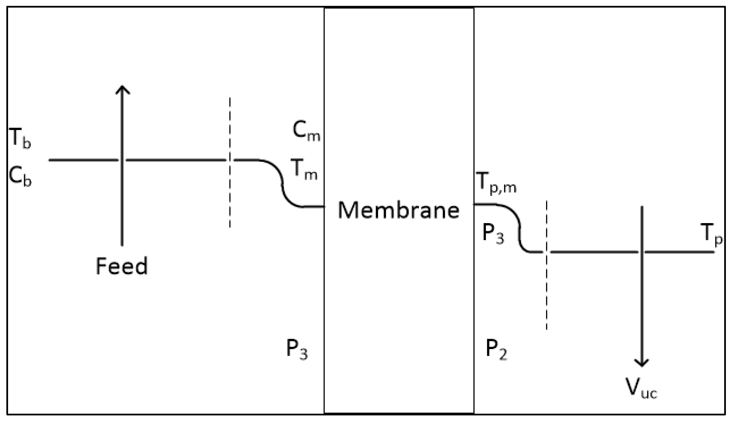 Membranes 13 00339 g001 Membranes 13 00339 g001