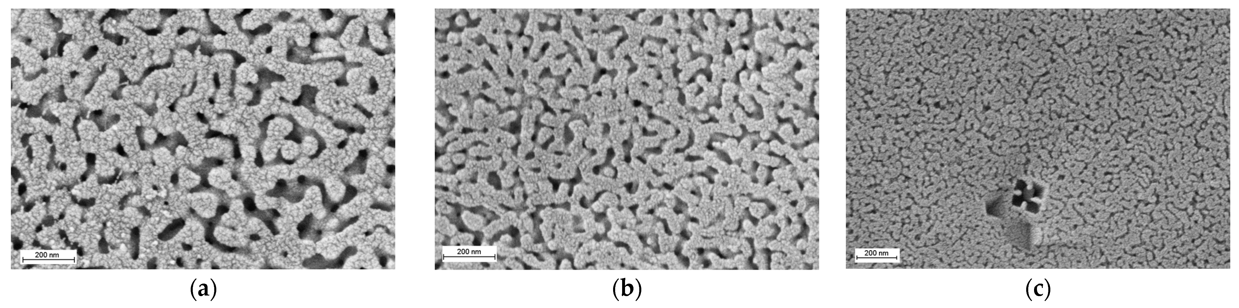 Membranes 13 00341 g001