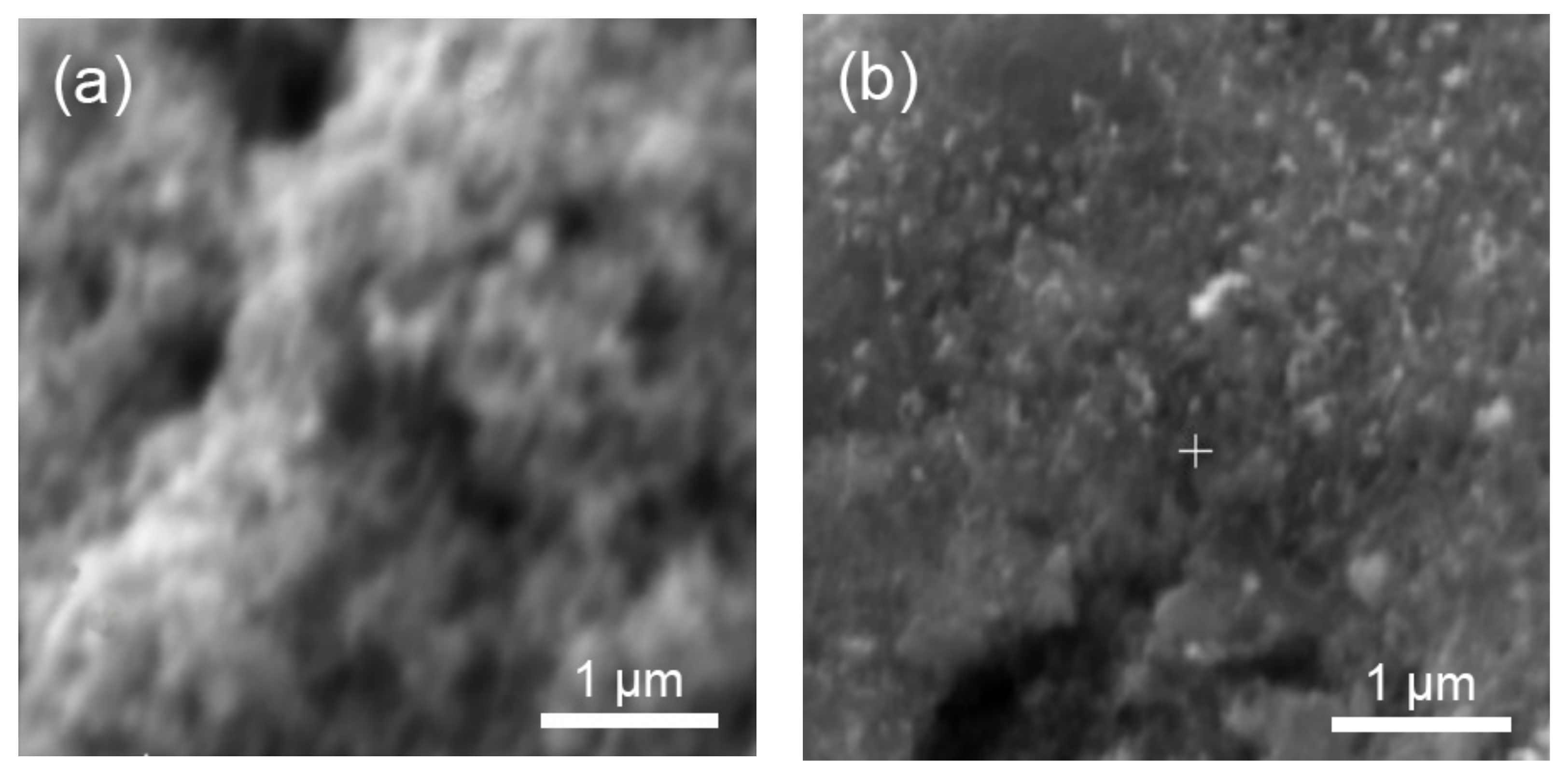 Membranes 13 00342 g009a Membranes 13 00342 g009a