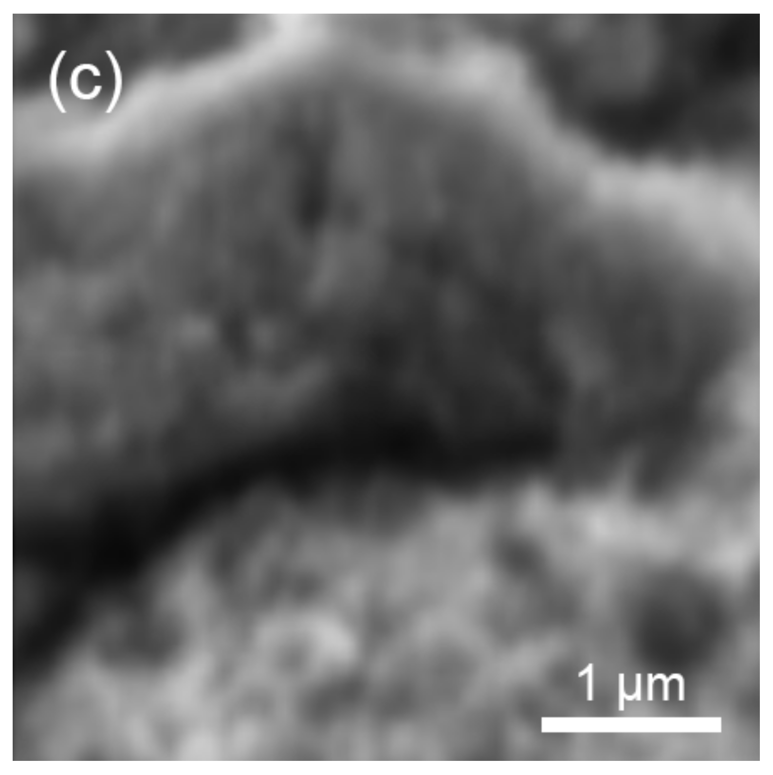 Membranes 13 00342 g009b Membranes 13 00342 g009b
