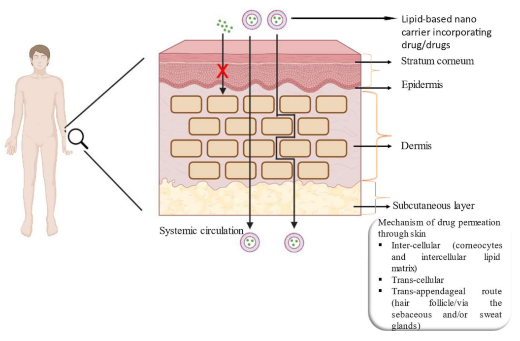 Membranes 13 00343 g002 Membranes 13 00343 g002