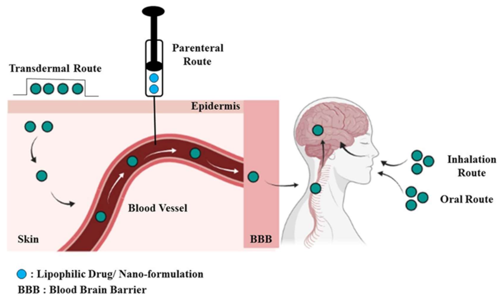 Membranes 13 00343 g004 Membranes 13 00343 g004