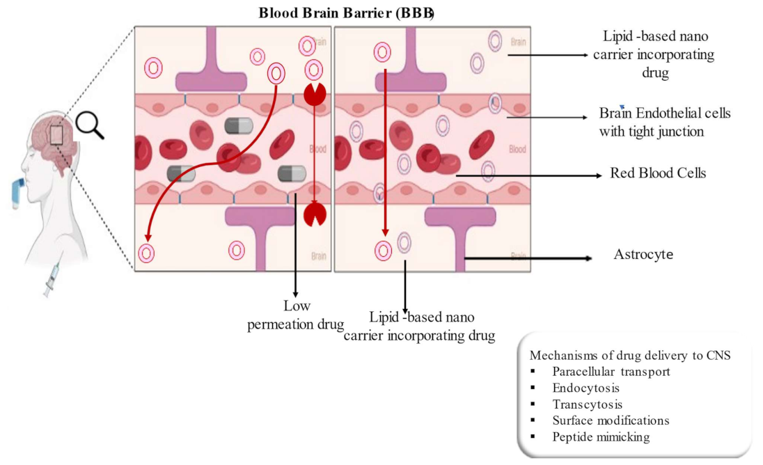 Membranes 13 00343 g005 Membranes 13 00343 g005