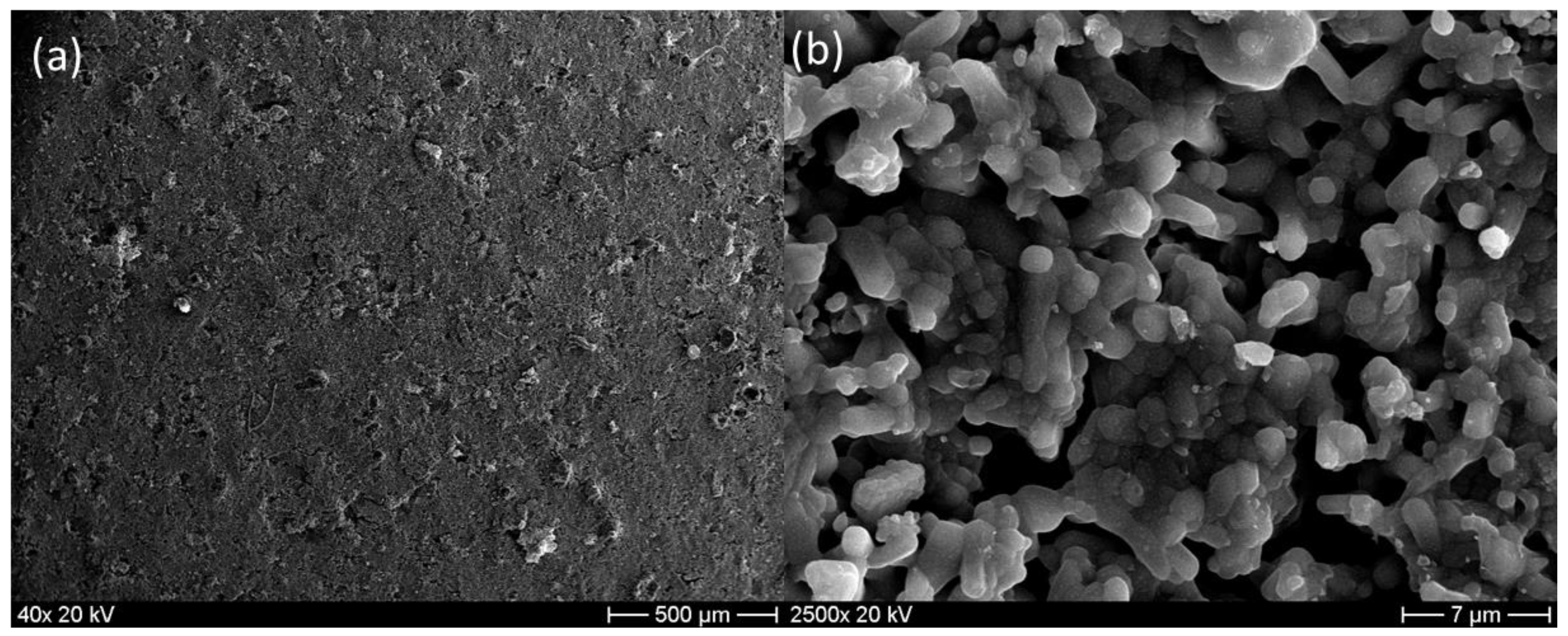 Membranes 13 00345 g008 Membranes 13 00345 g008