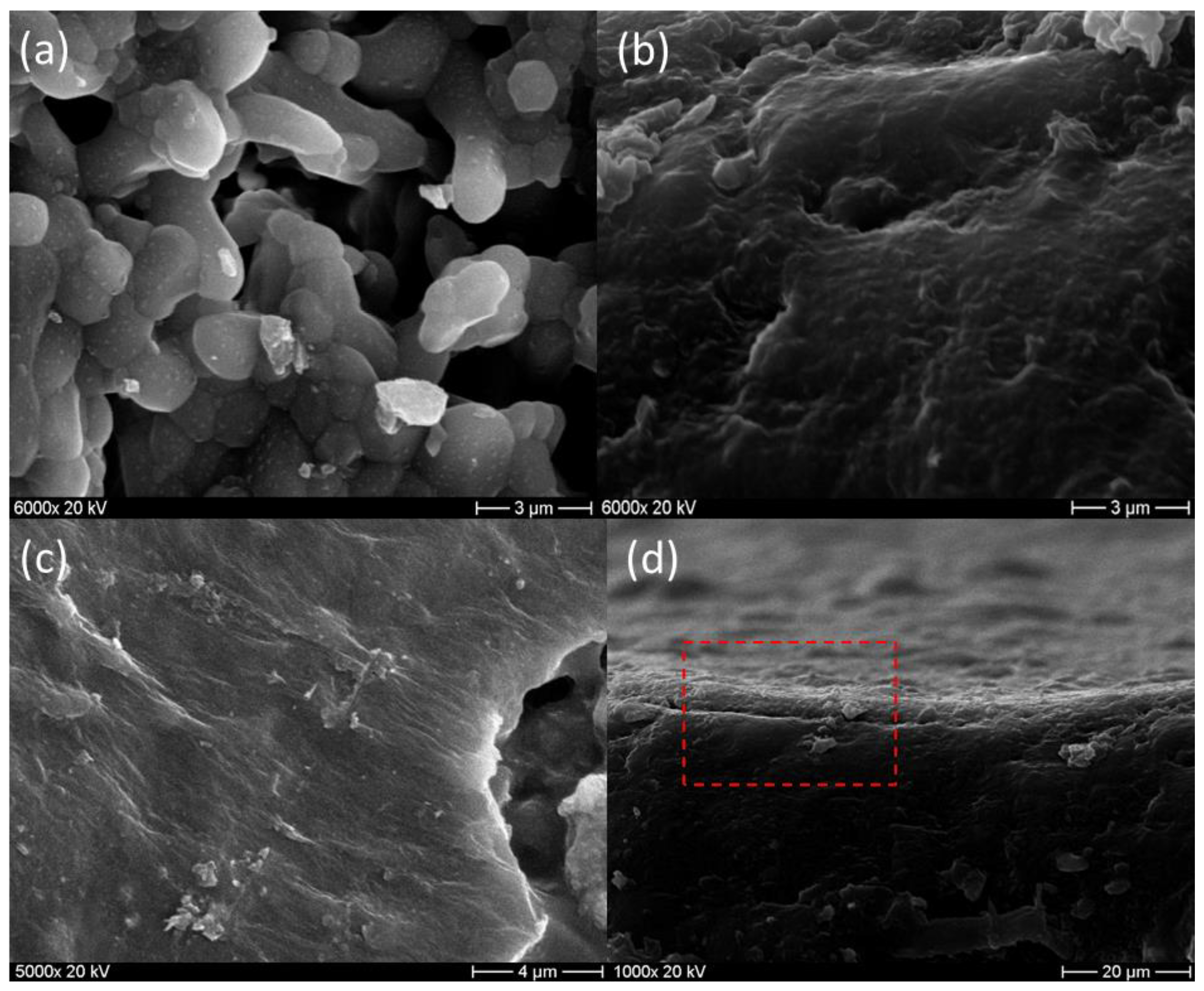 Membranes 13 00345 g009 Membranes 13 00345 g009