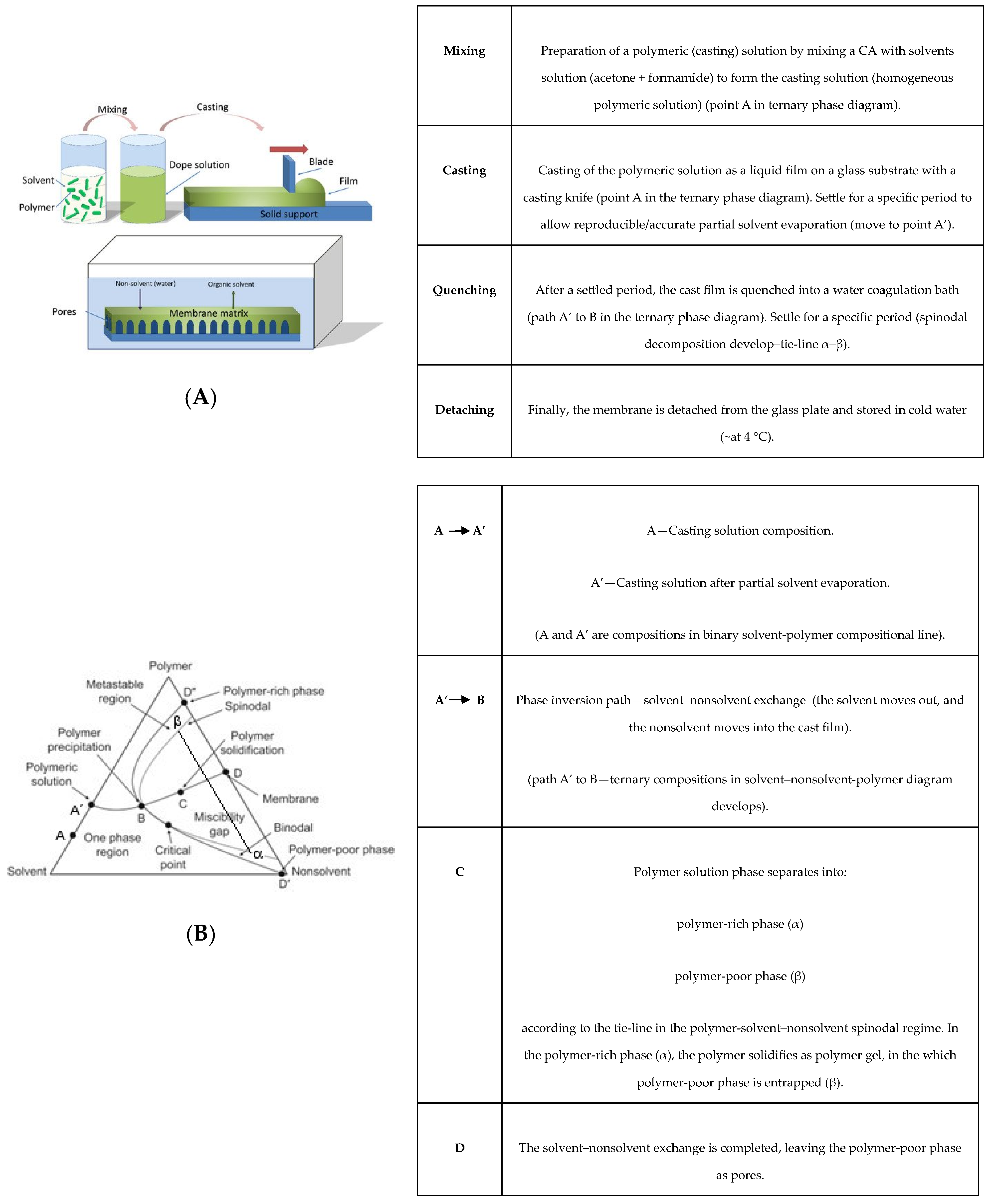 Membranes 13 00346 g001 Membranes 13 00346 g001