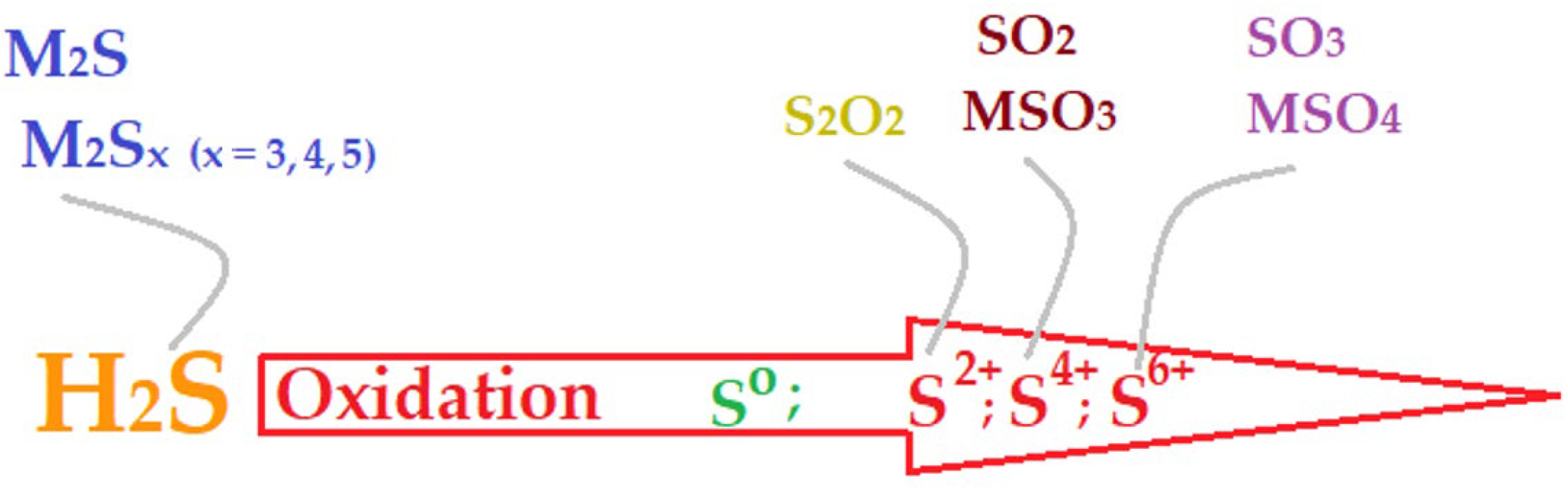 Membranes 13 00350 g001