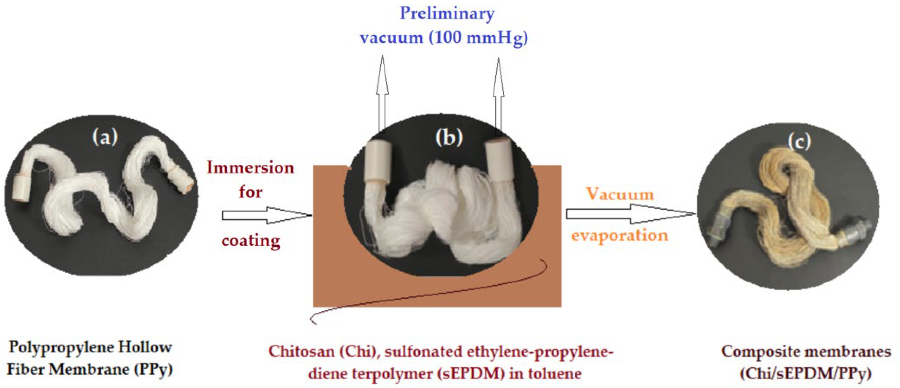 Membranes 13 00350 g002
