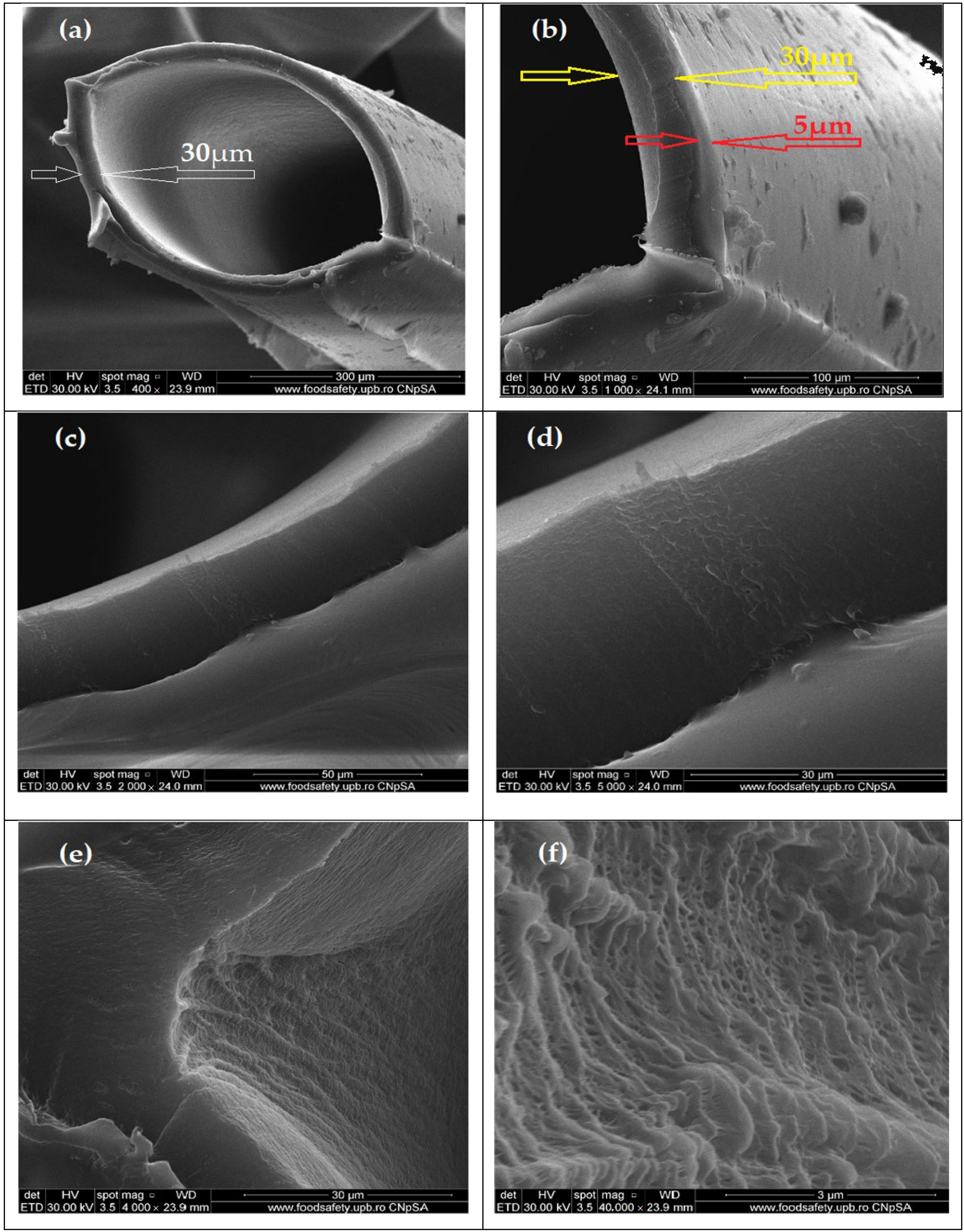 Membranes 13 00350 g004