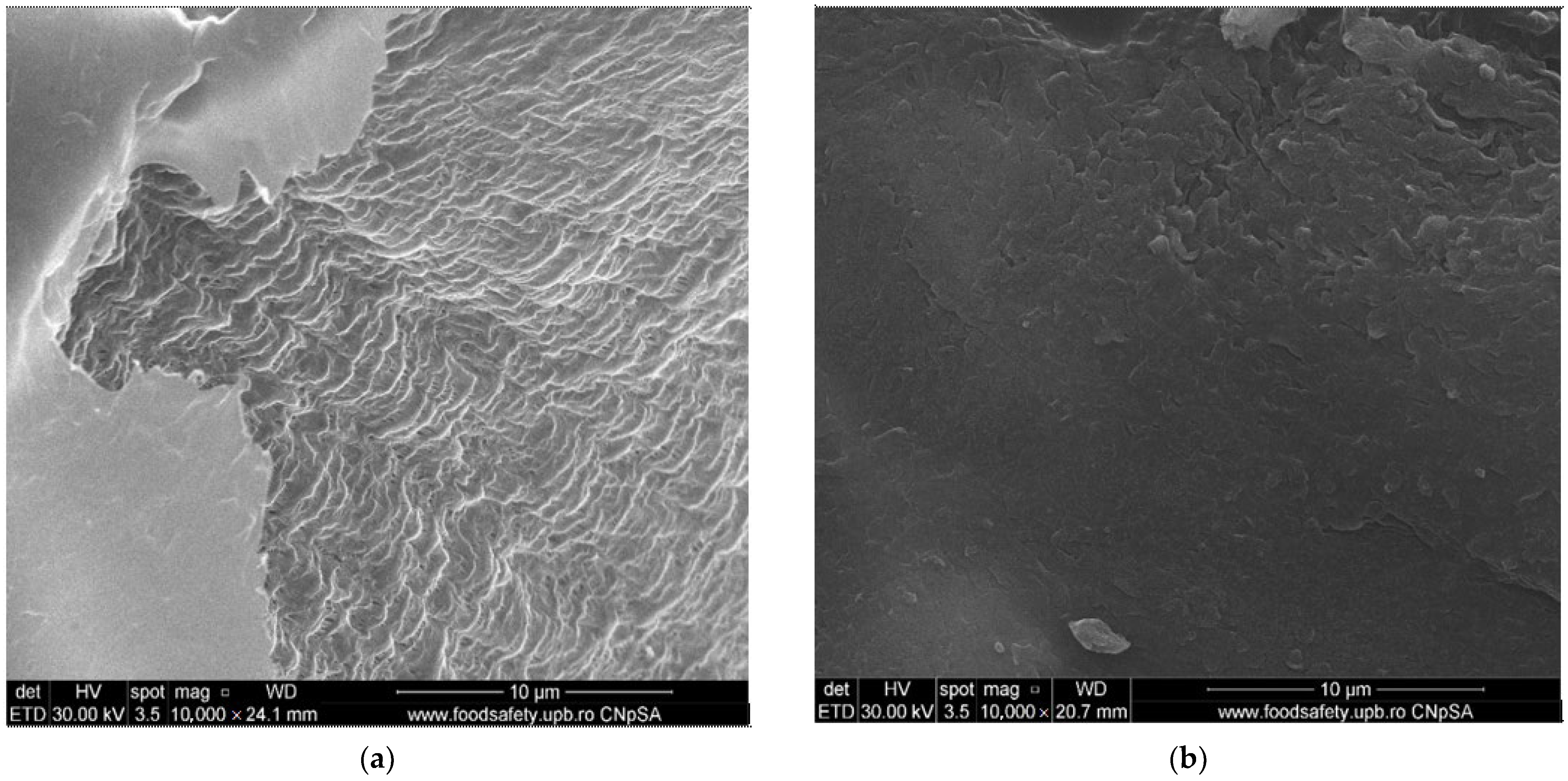Membranes 13 00350 g005a