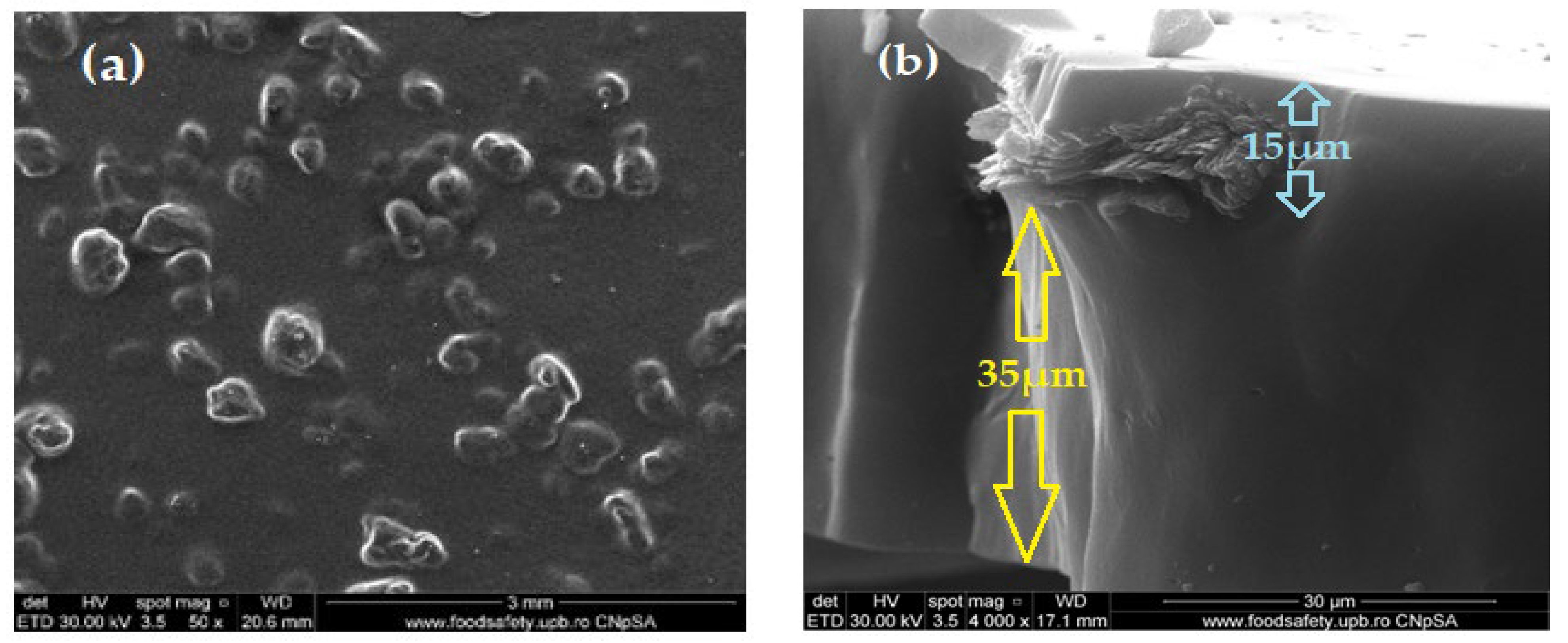 Membranes 13 00350 g009