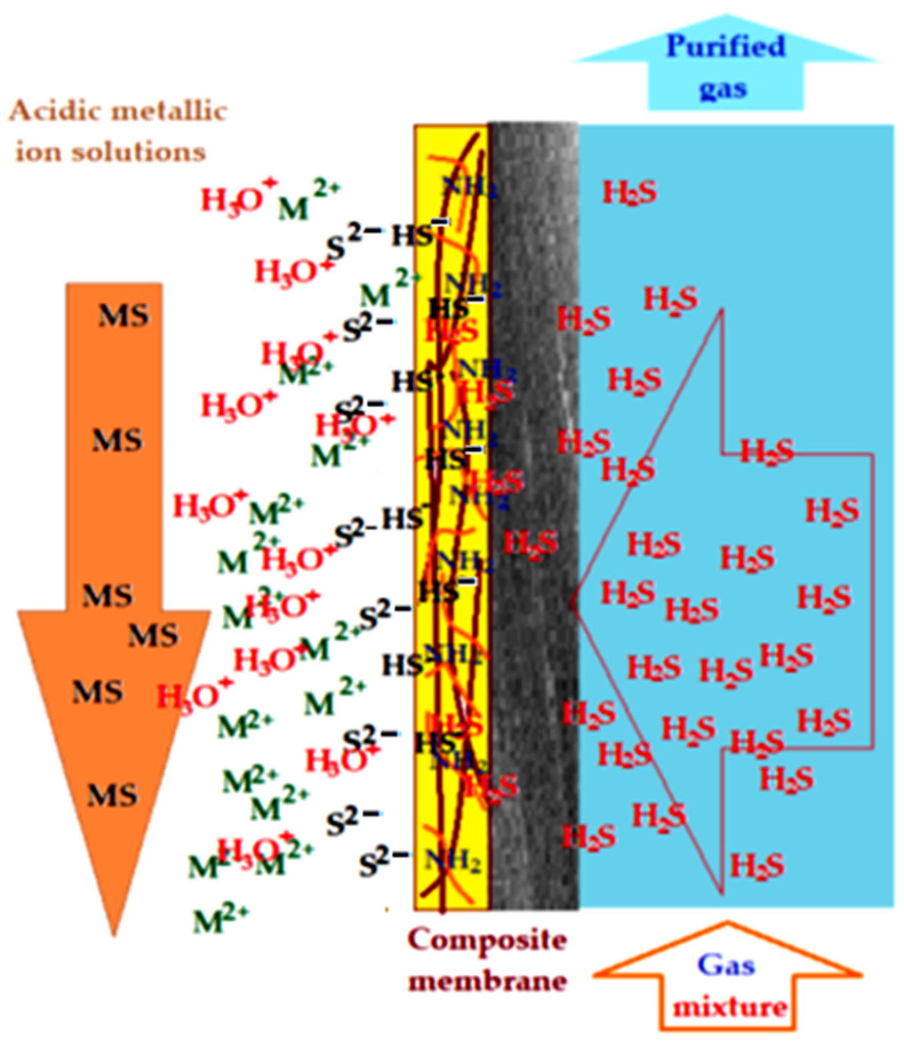 Membranes 13 00350 g016