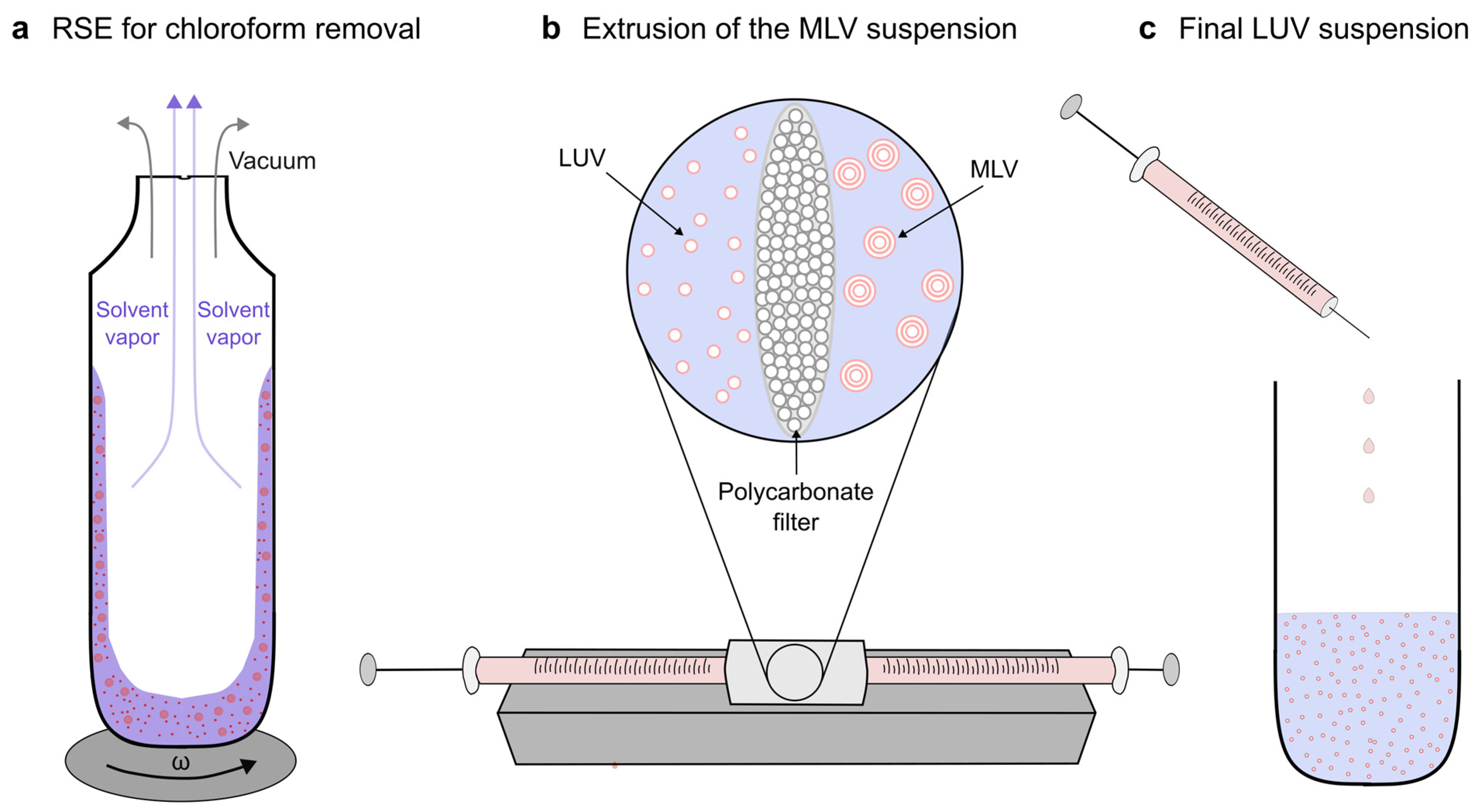 Membranes 13 00352 g001 Membranes 13 00352 g001