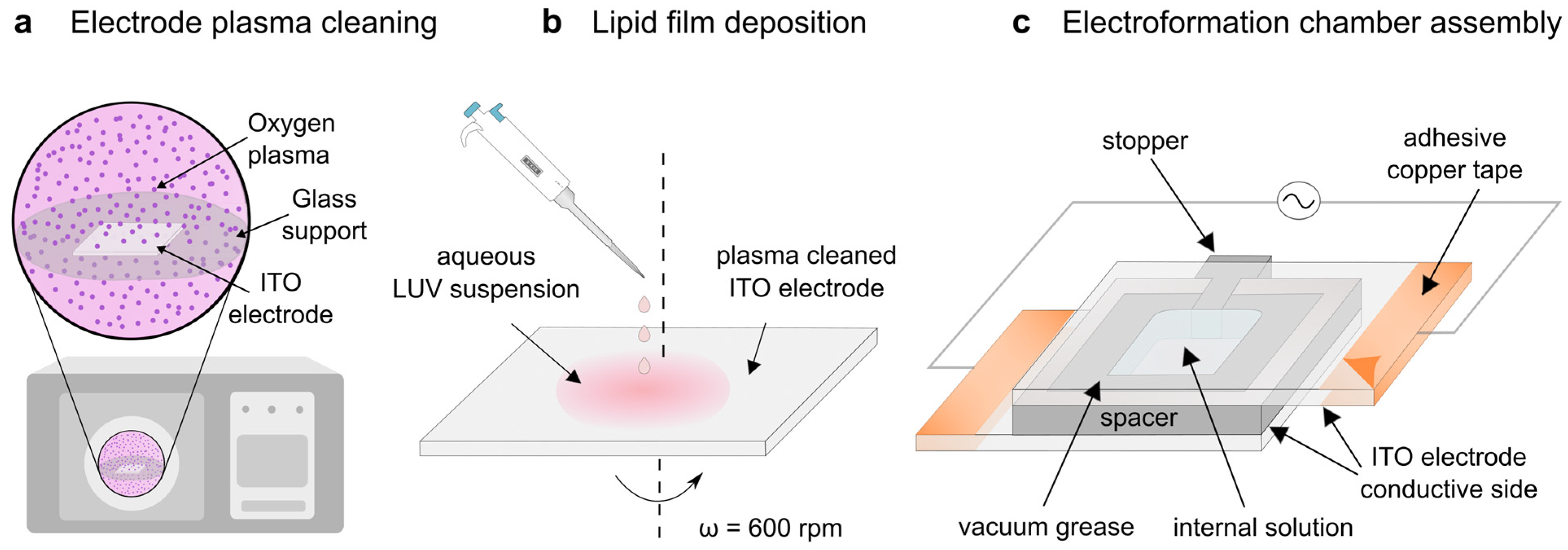 Membranes 13 00352 g002 Membranes 13 00352 g002