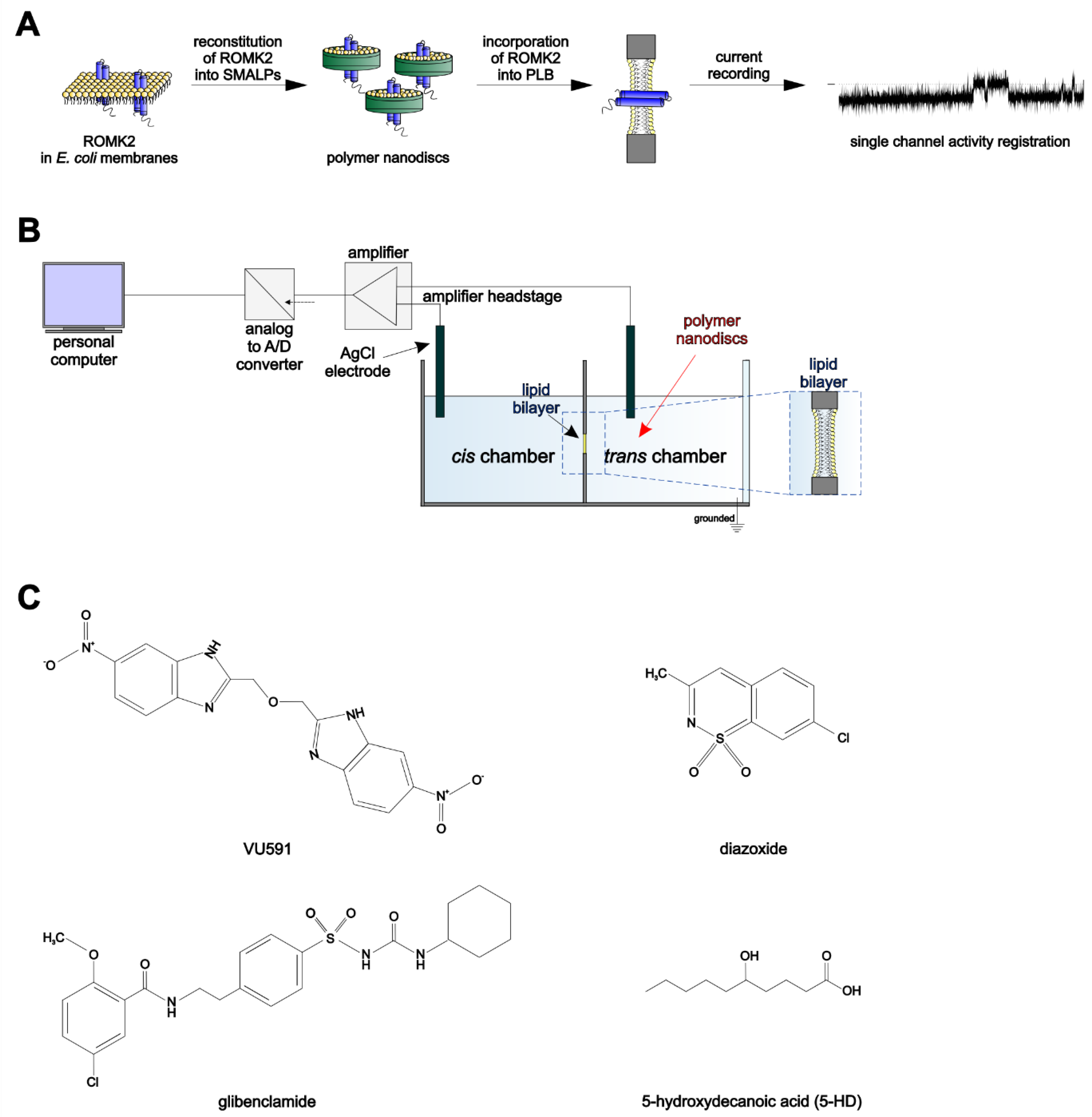 Membranes 13 00360 g001 Membranes 13 00360 g001