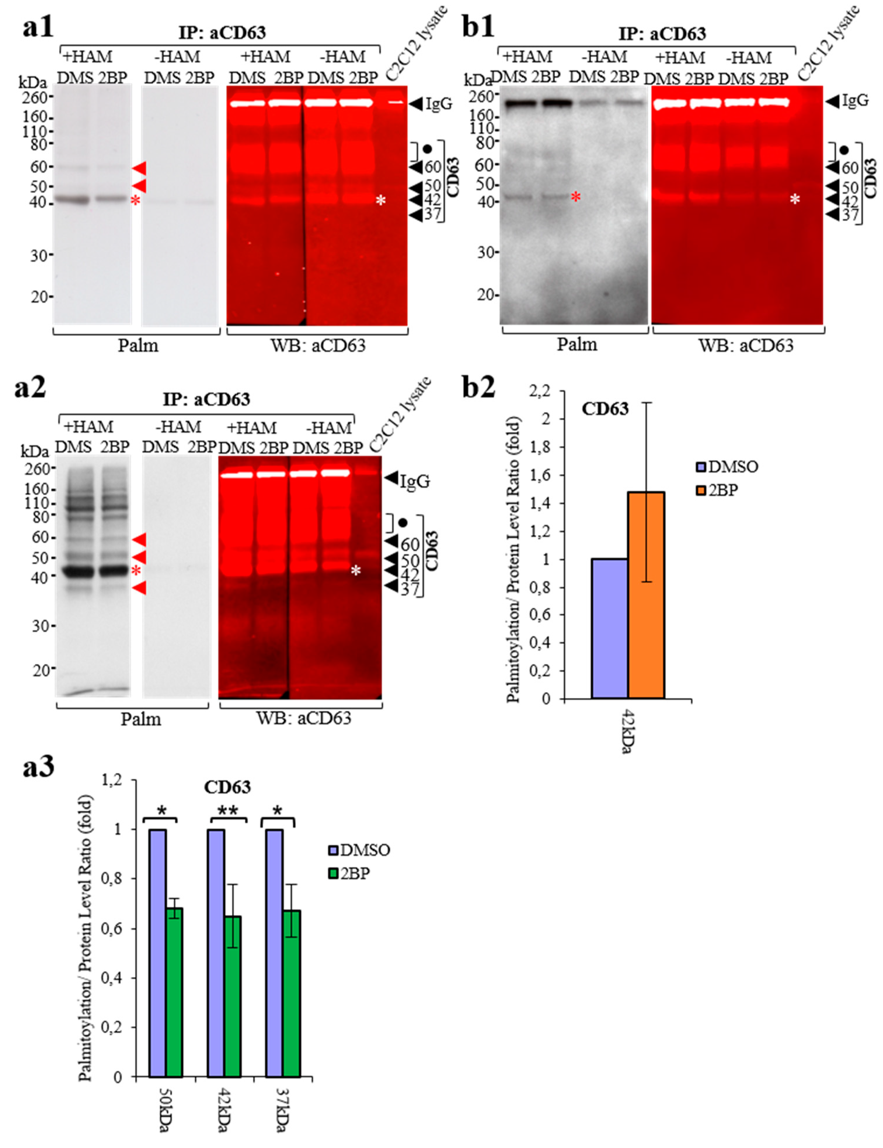 Membranes 13 00361 g004 Membranes 13 00361 g004