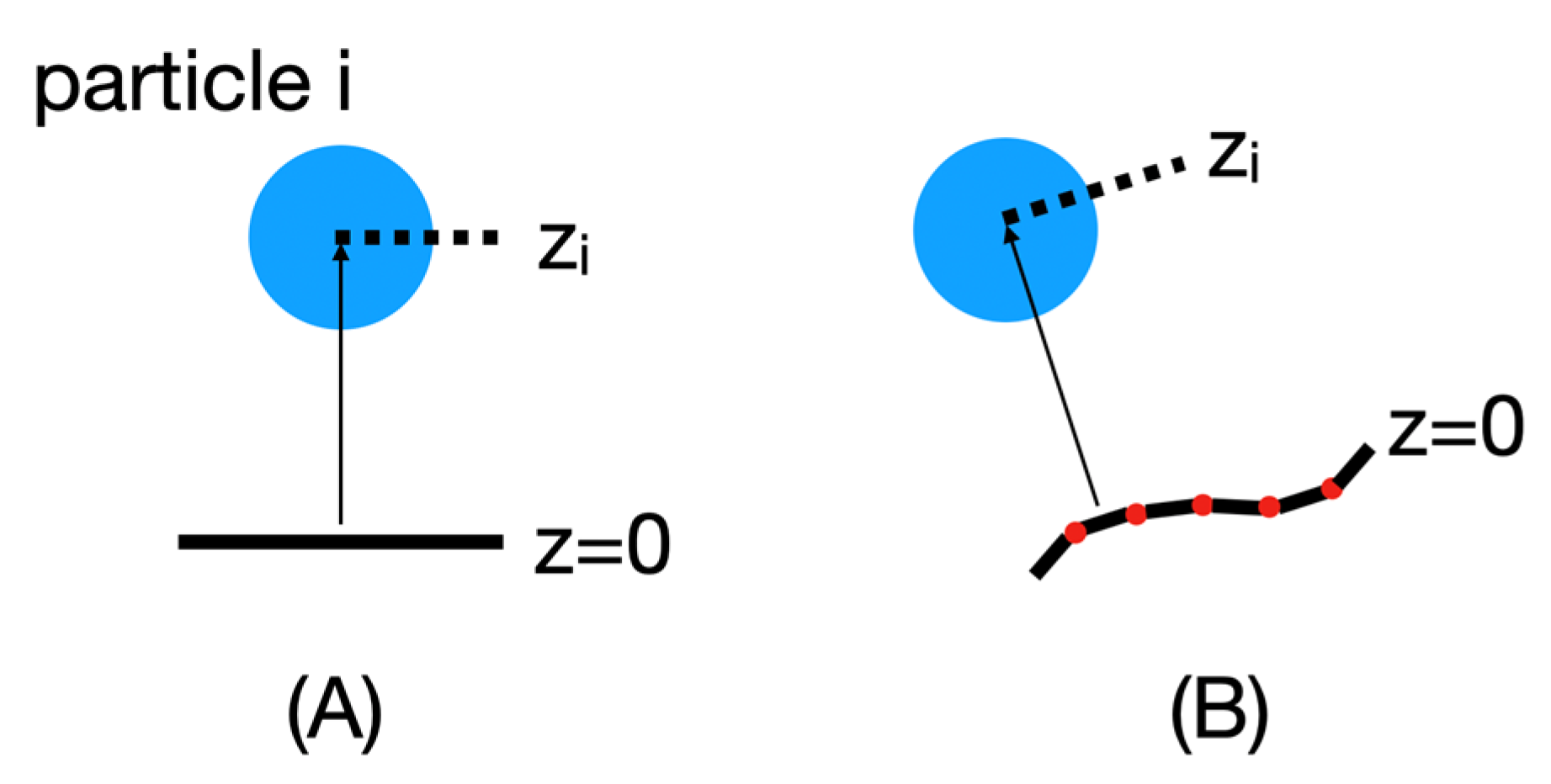 Membranes 13 00362 g006